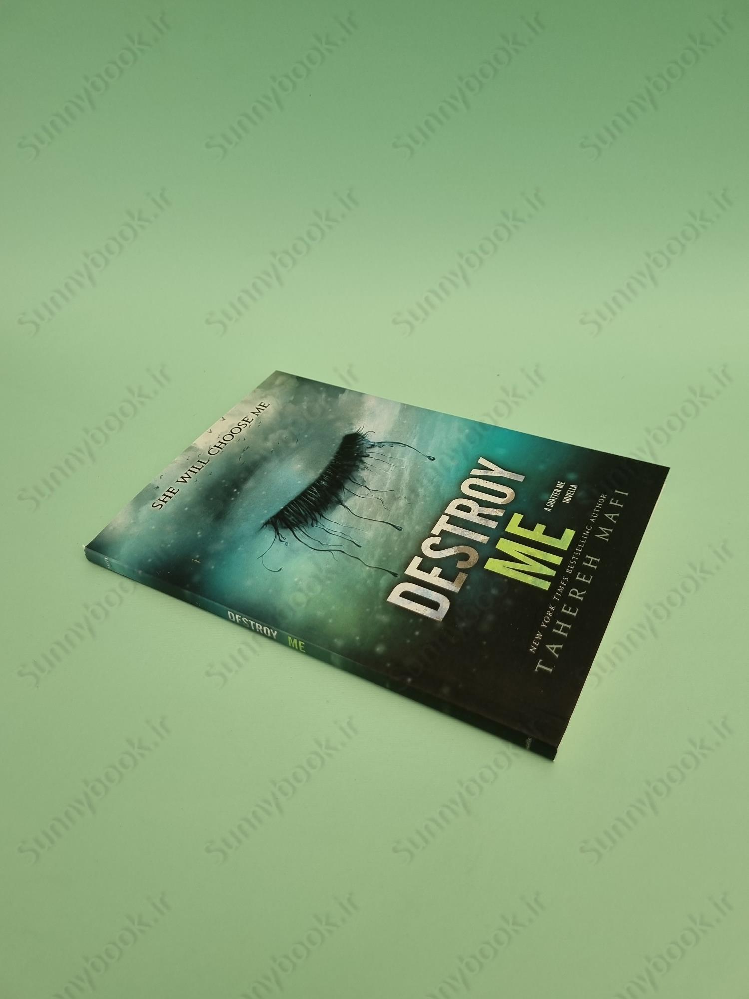 Destroy Me (Shatter Me 1.5) main 1 3