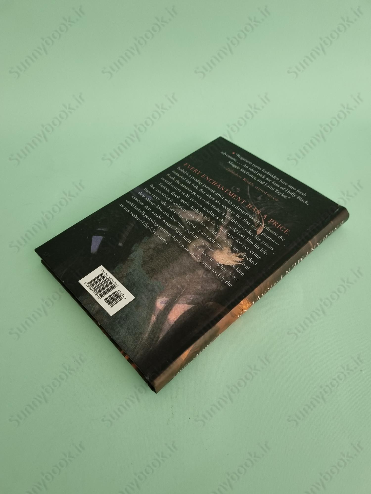 An Enchantment of Ravens main 1 5