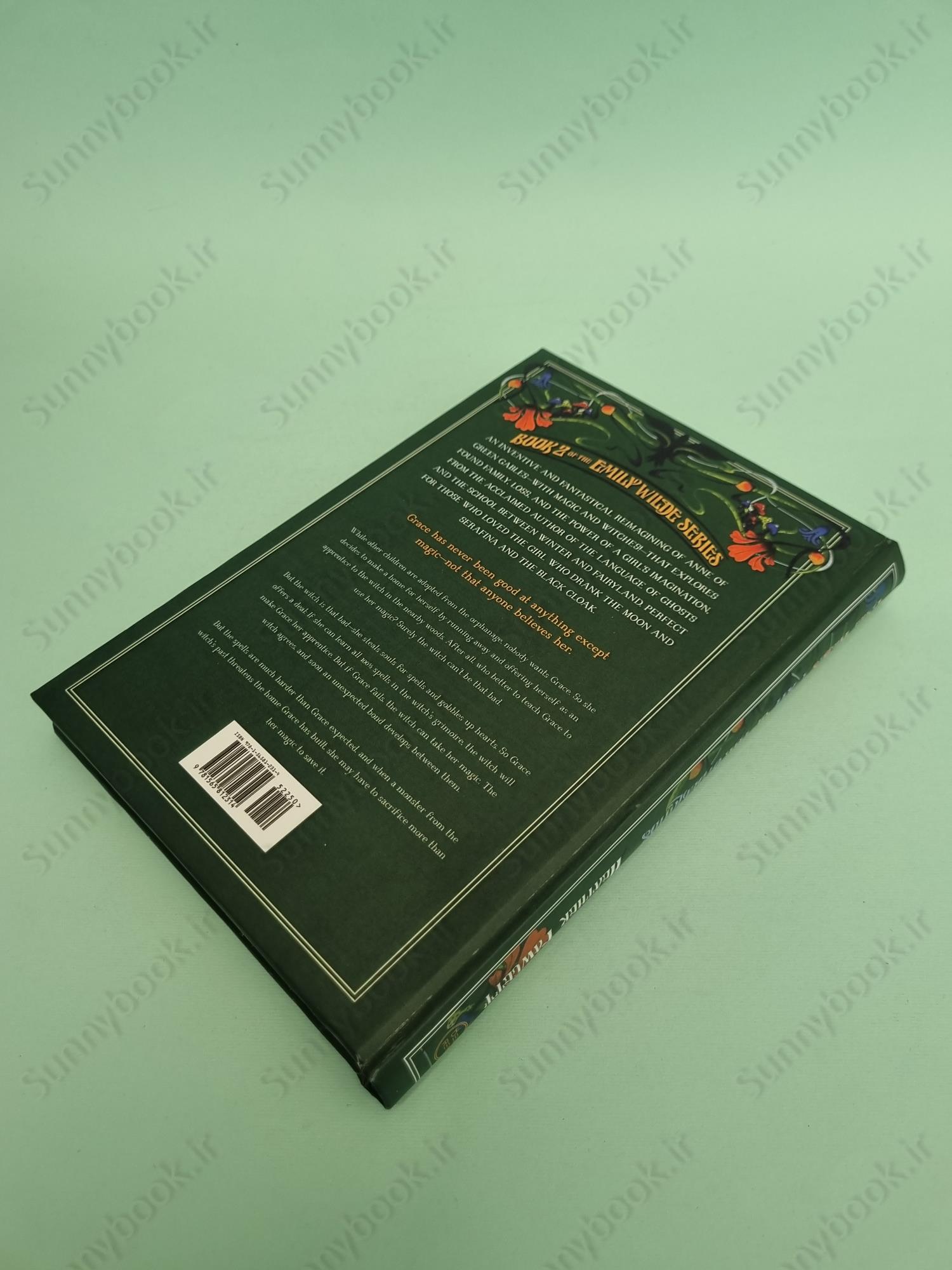 Emily Wilde's Map of the Otherlands (Emily Wilde, 2) main 1 4