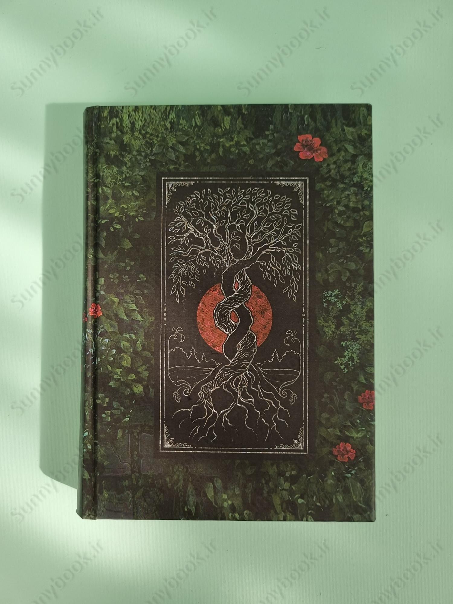 Two Twisted Crowns (The Shepherd King Book 2) main 1 2