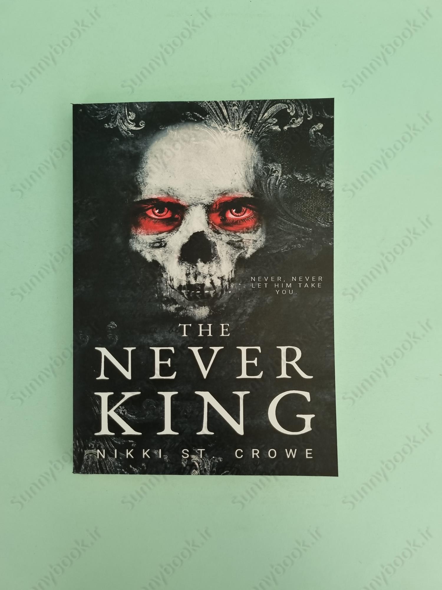 The Never King (Vicious Lost Boys Book 1) main 1 2