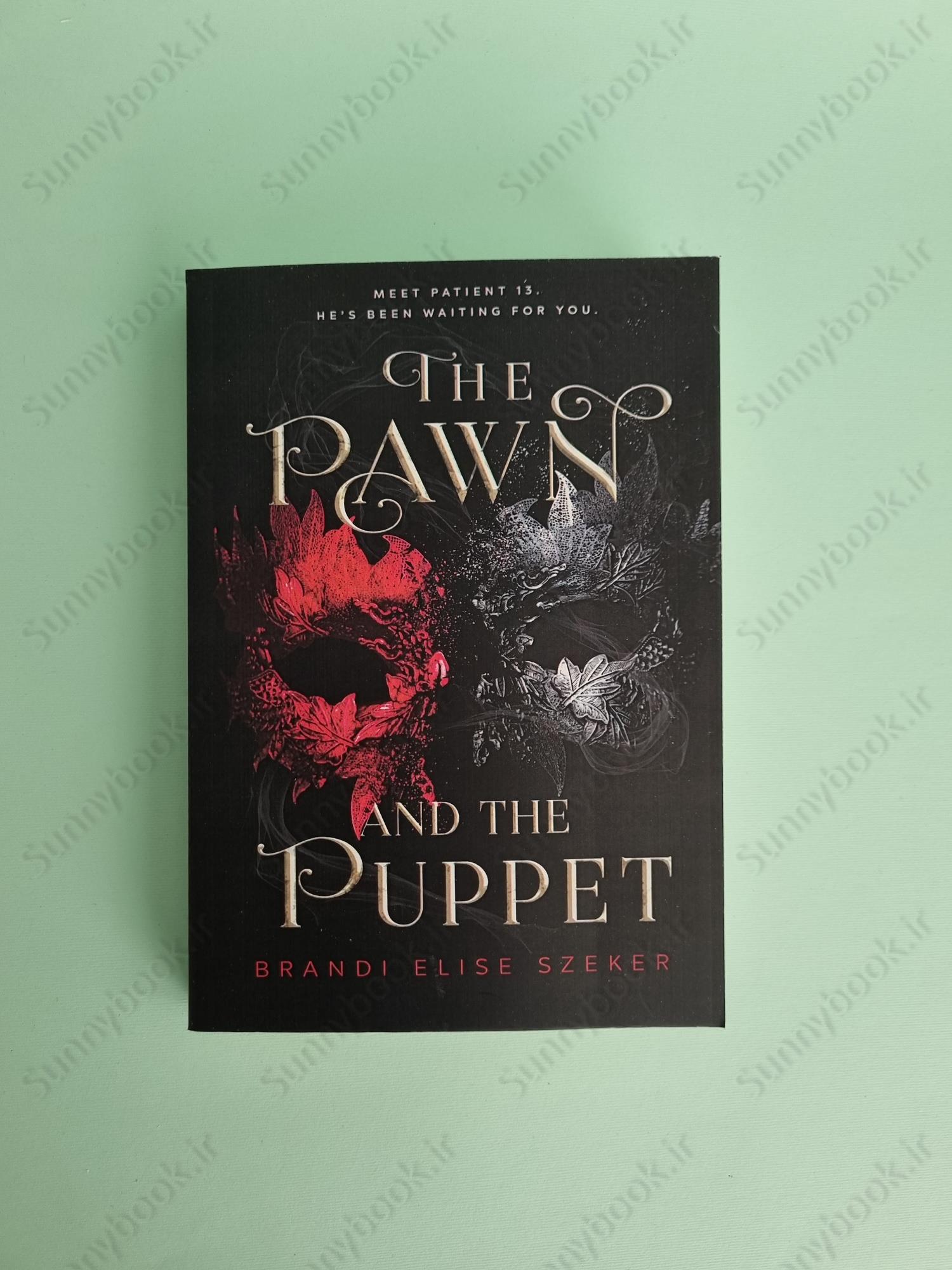 The Pawn and The Puppet Book 1 main 1 2