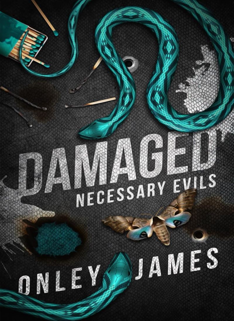 Damaged (Necessary Evils 4) Model.Title