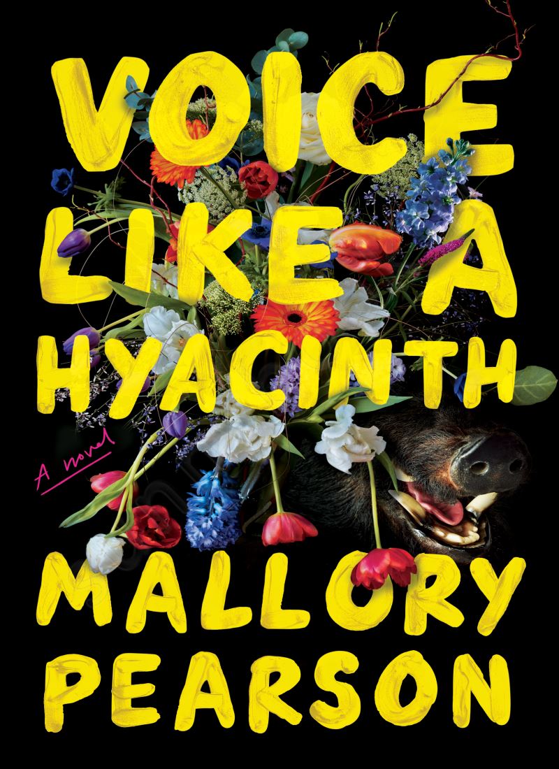 Voice Like a Hyacinth47north Model.Title