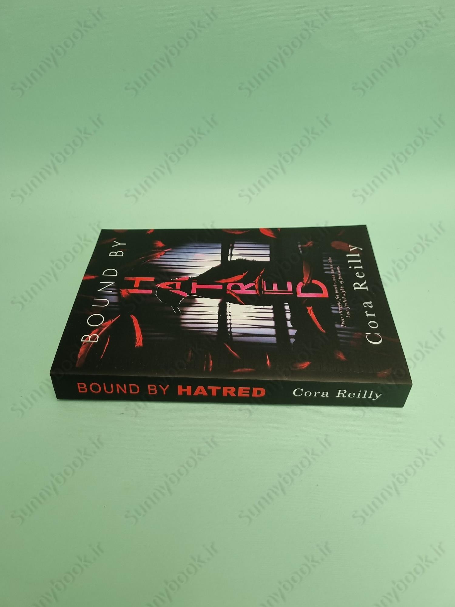 Bound by Hatred (Born in Blood Mafia 3) main 1 5