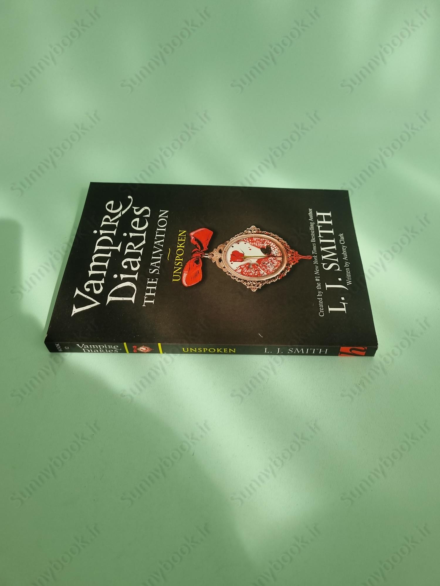 The Vampire Diaries: The Salvation: Unspoken: Book 12 main 1 4