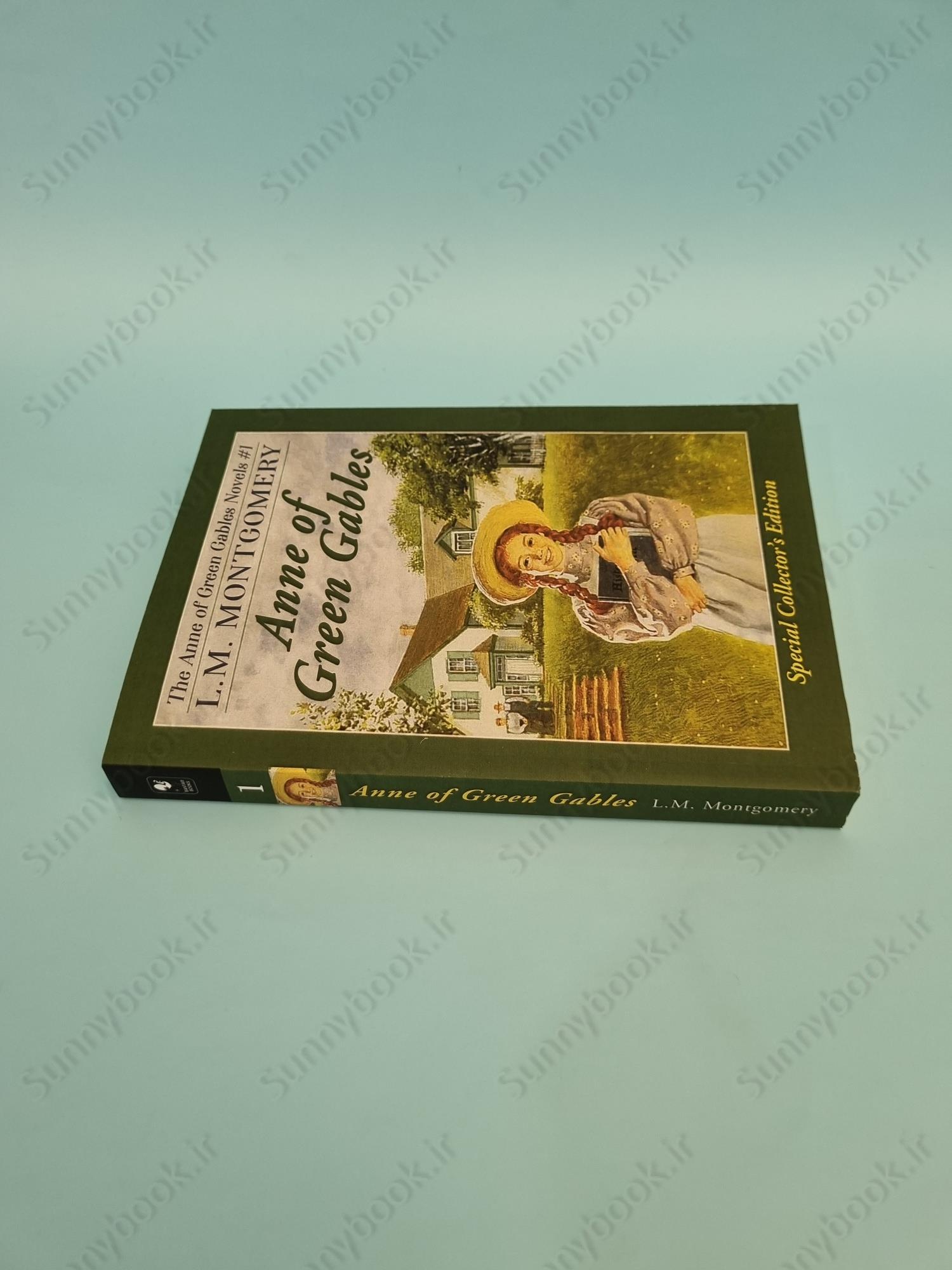 Anne of Green Gables book 1 main 1 4