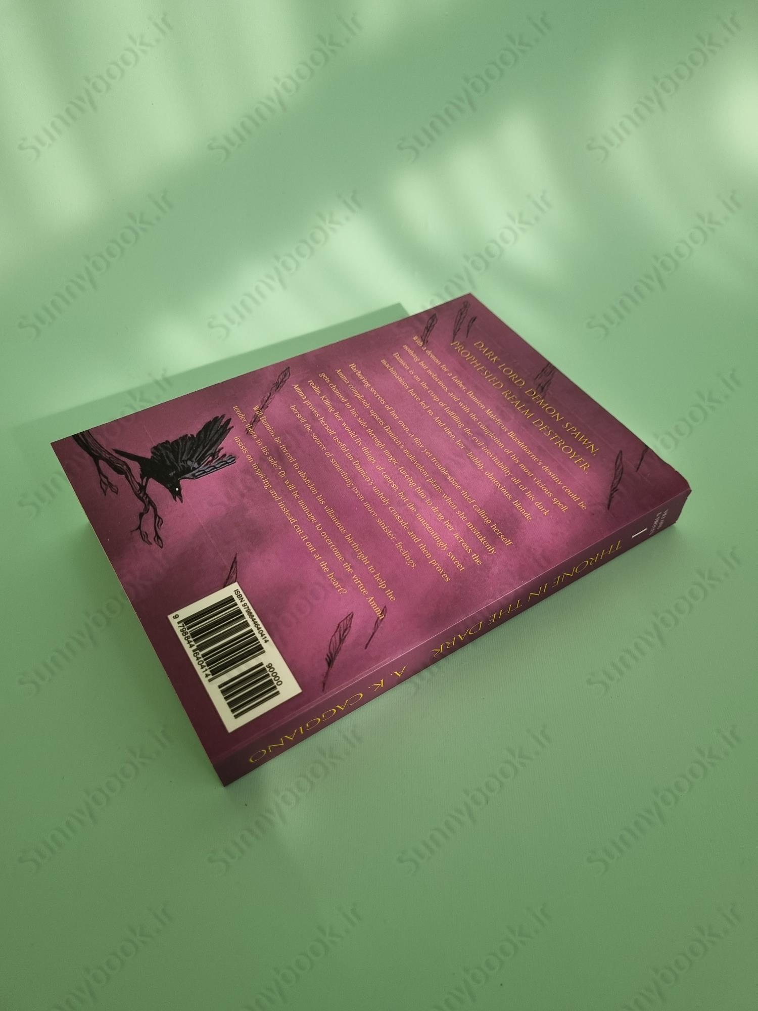 Throne in the Dark (Villains and Virtues 1) main 1 5