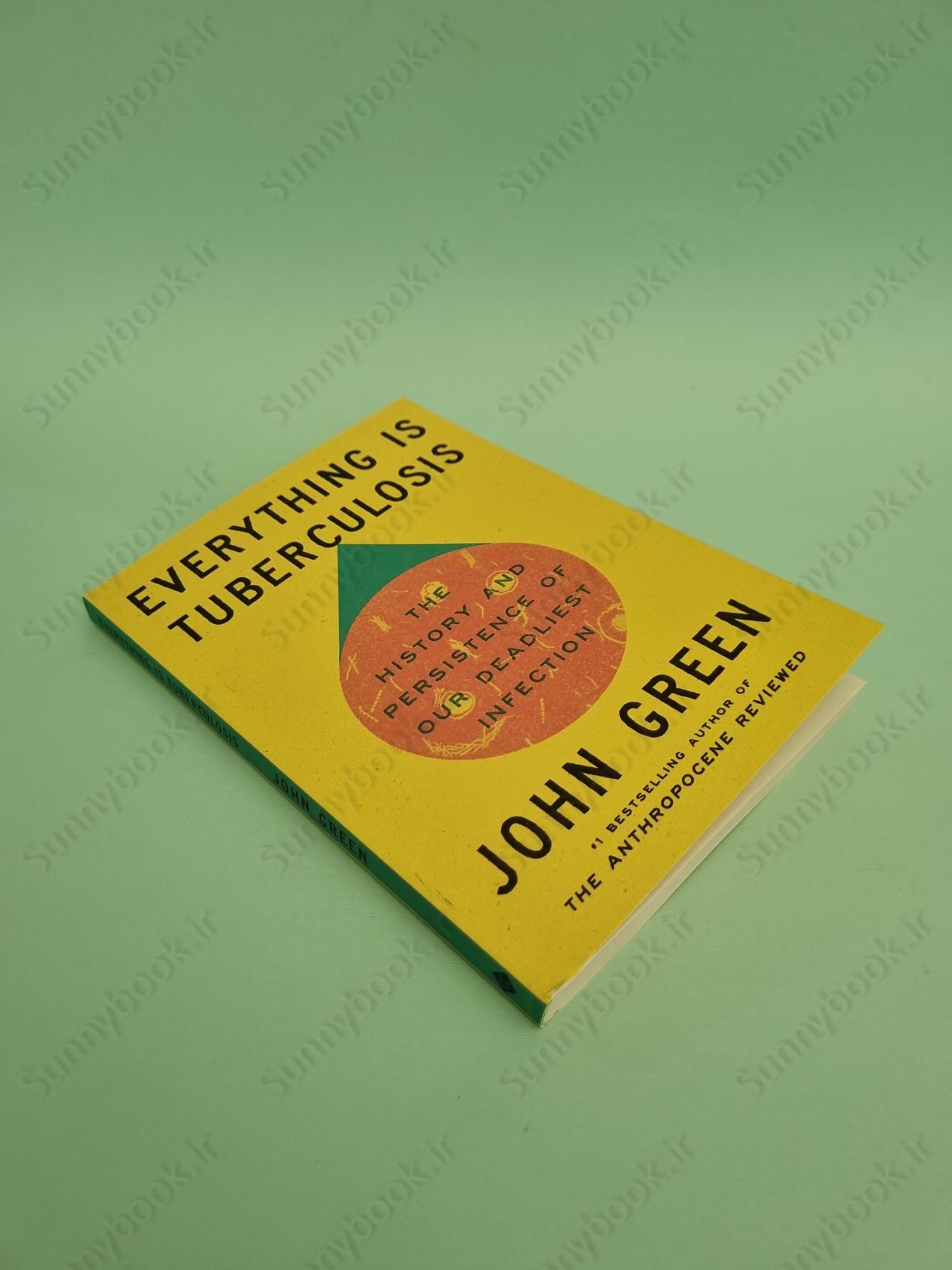 Everything Is Tuberculosis main 1 3