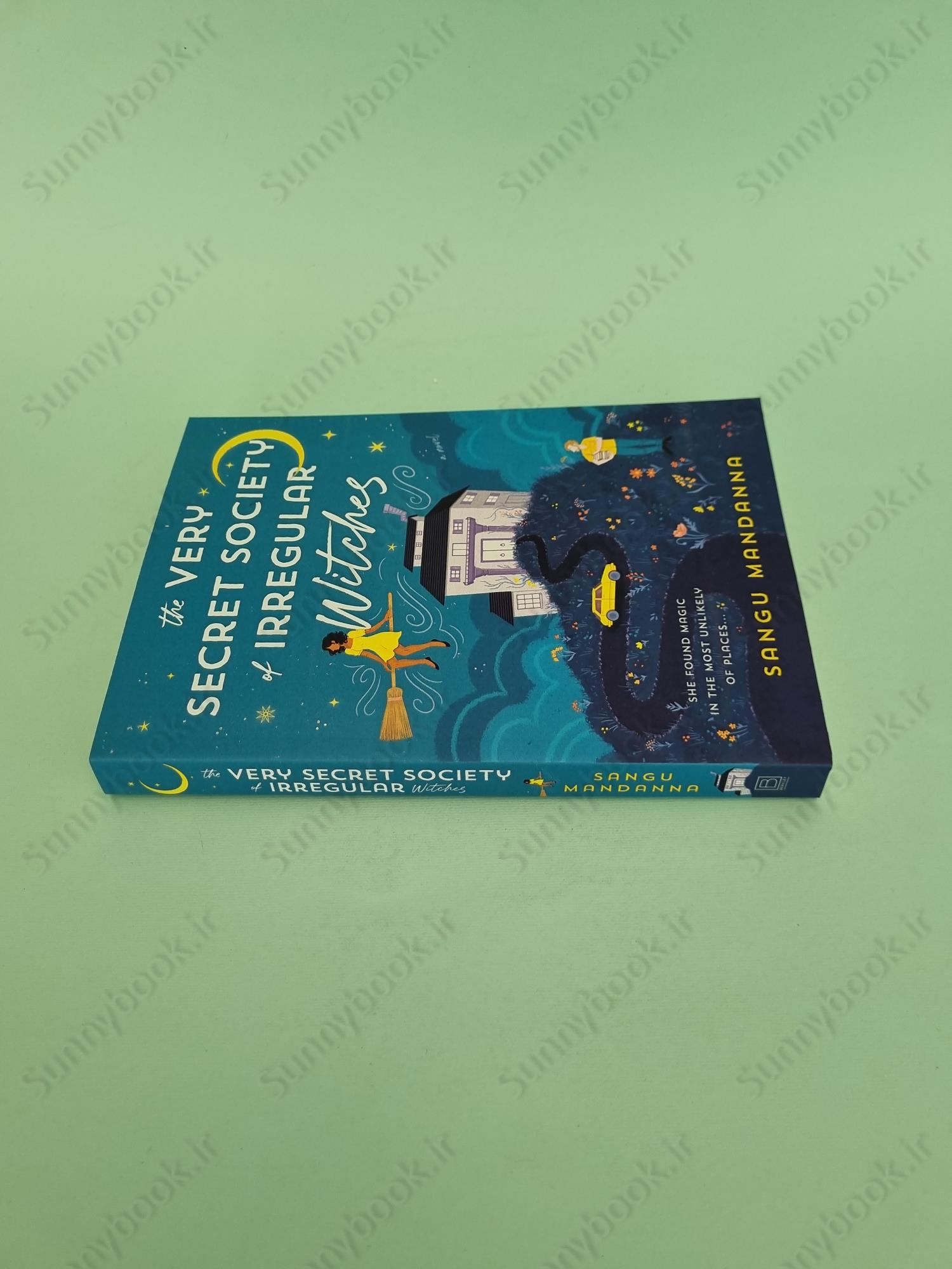 The Very Secret Society of Irregular Witches main 1 4