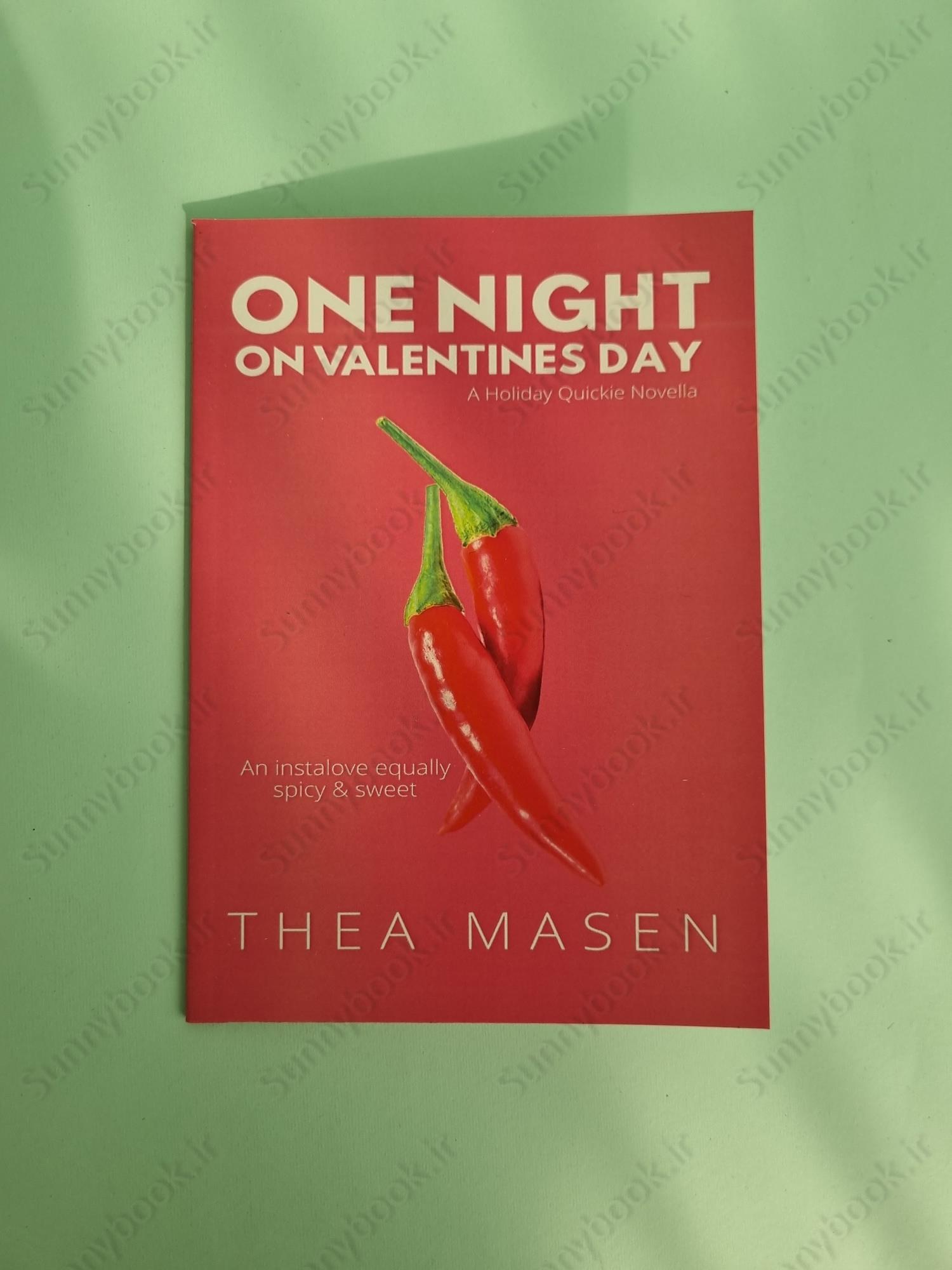 One Night on Valentine's Day main 1 2