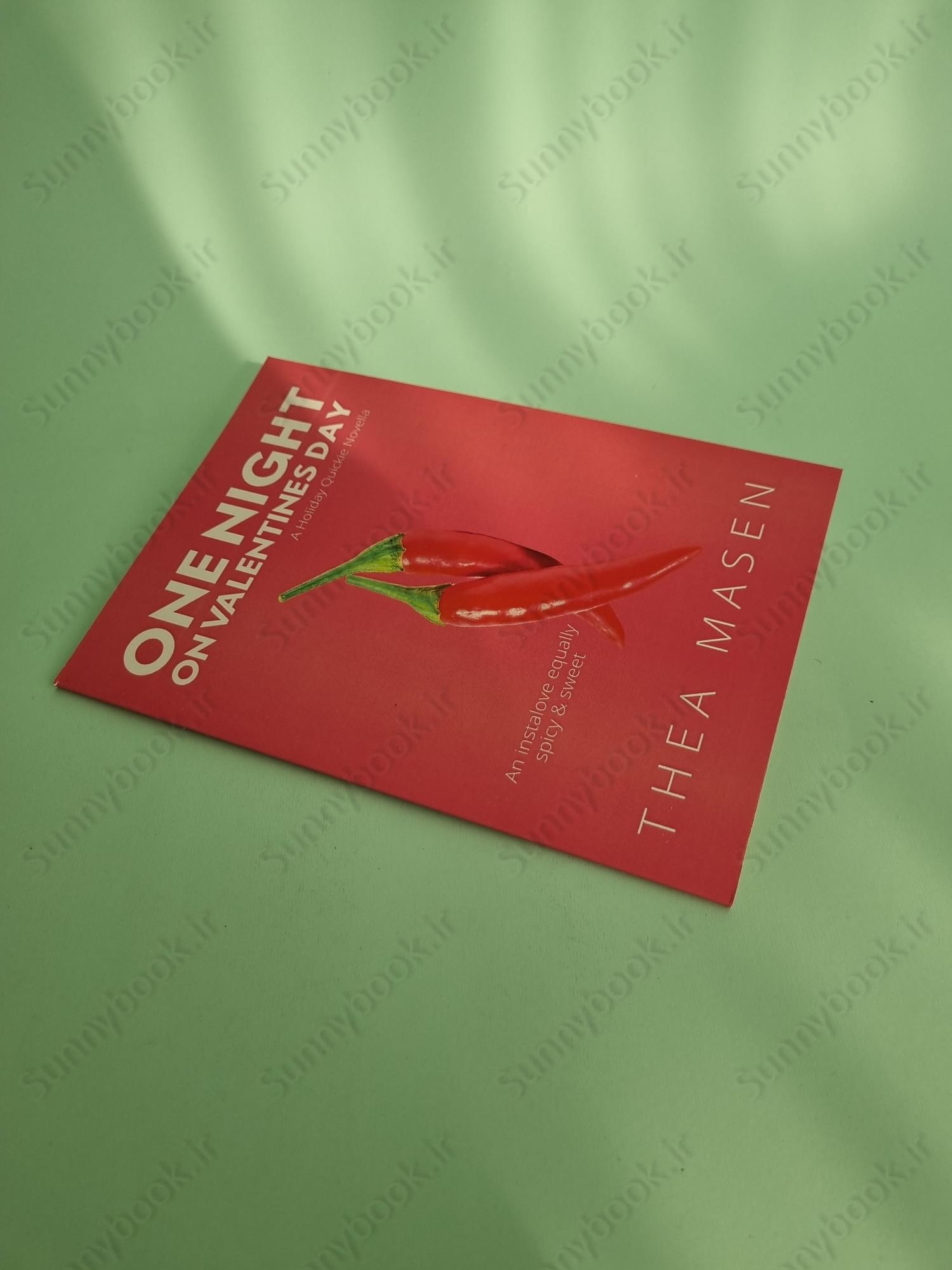 One Night on Valentine's Day main 1 3