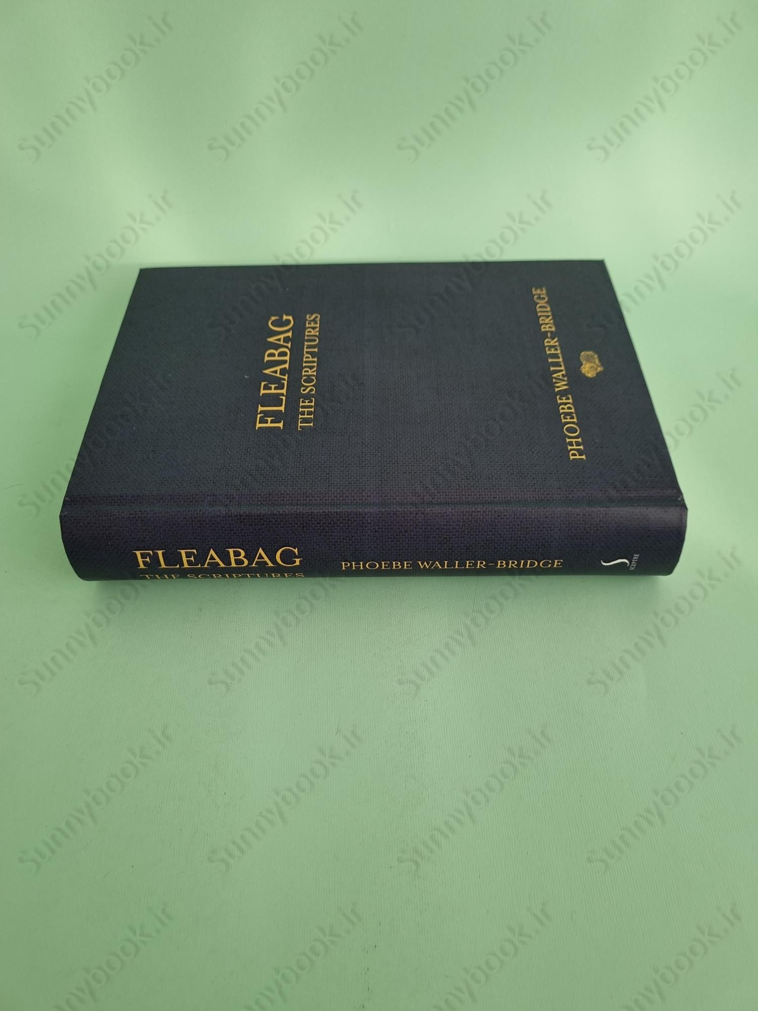 Fleabag: The Scriptures main 1 4