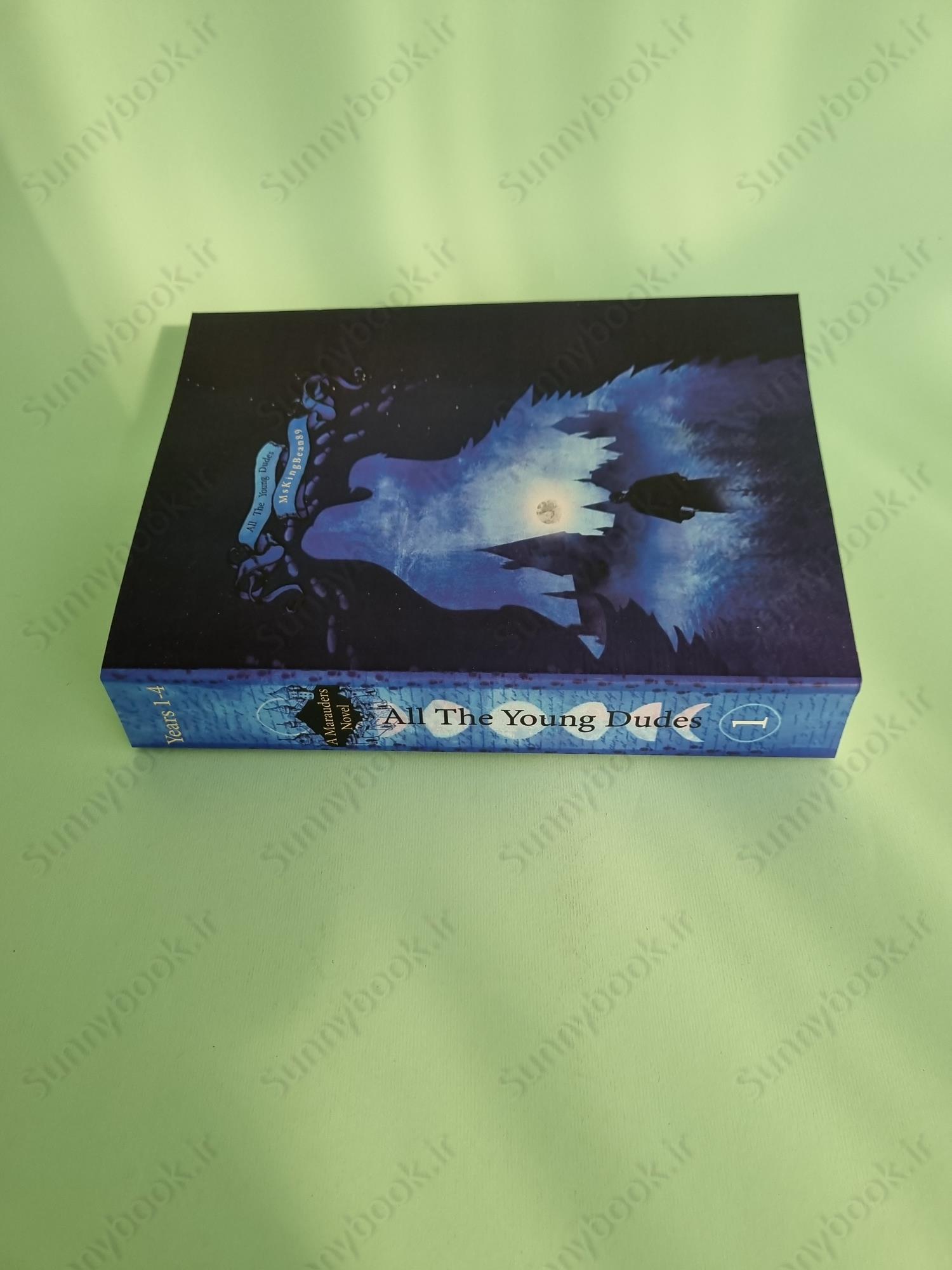 All The Young Dudes - Volume One: Years 1 - 4 main 1 4