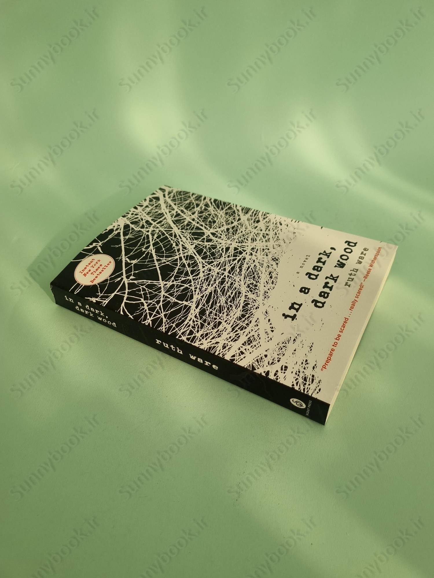 In a Dark, Dark Wood main 1 3