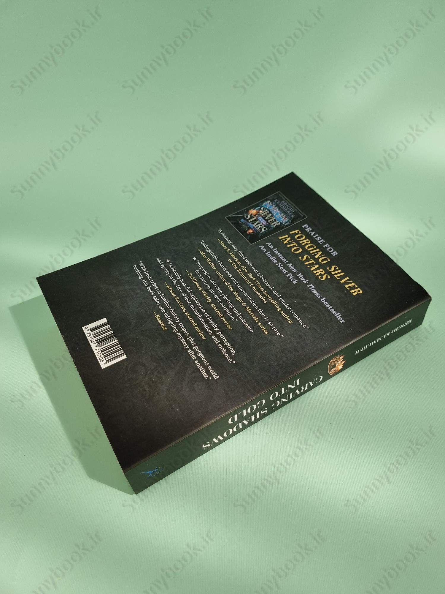 Carving Shadows into Gold (Forging Silver into Stars 2) main 1 4