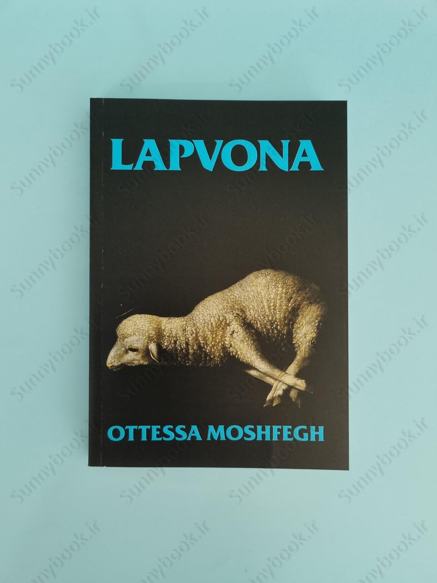 Lapvona: The unmissable Sunday Times Bestseller main 1 2