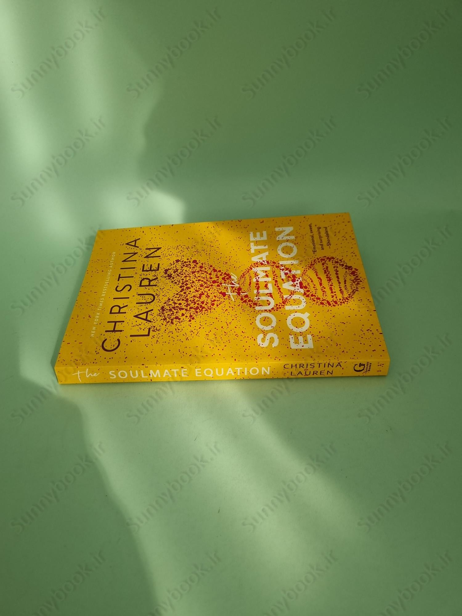 The Soulmate Equation main 1 4