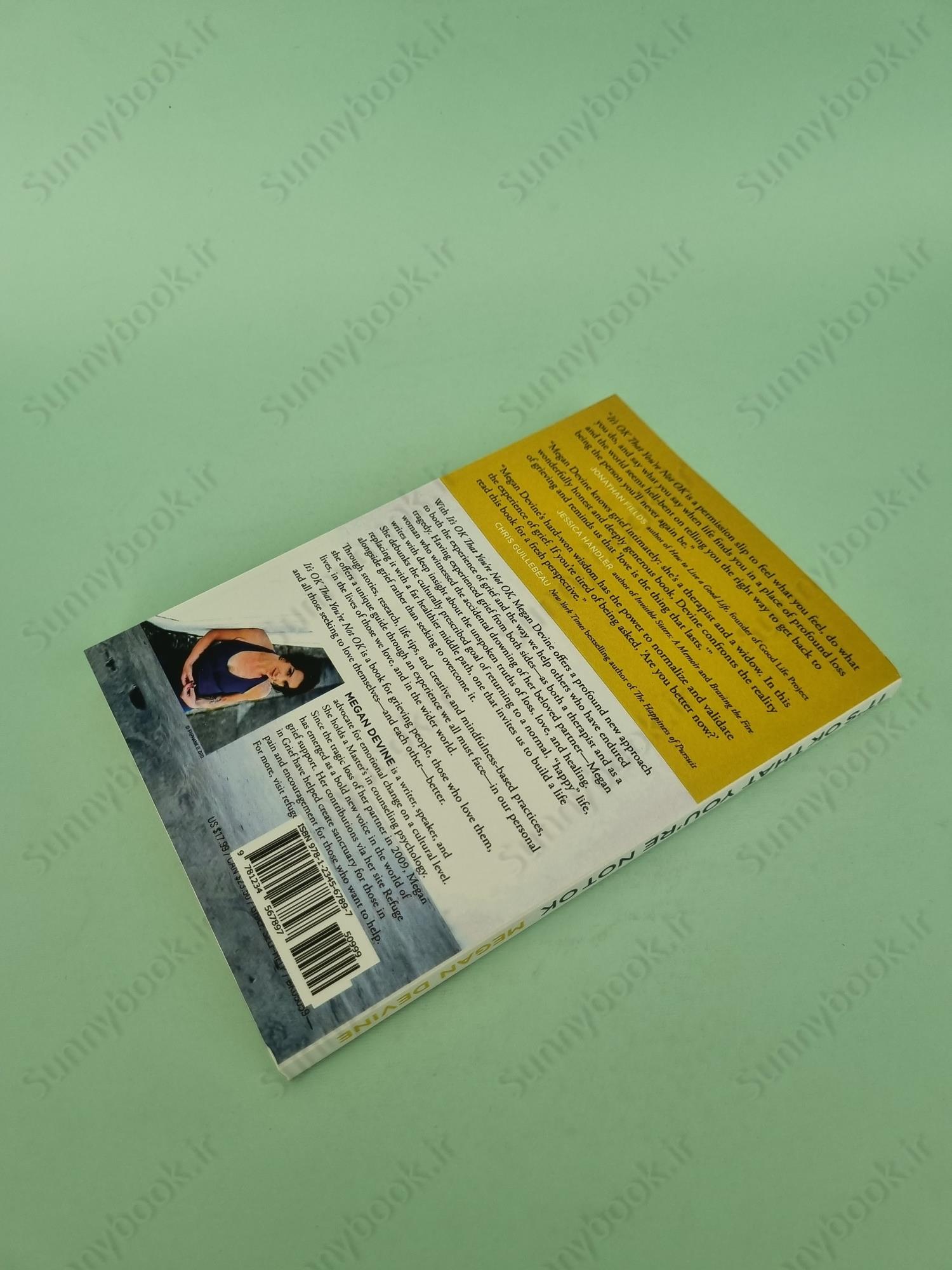 It'S Ok That You'Re Not Ok: Meeting Grief And Loss In A Culture That Doesn'T Understand main 1 4