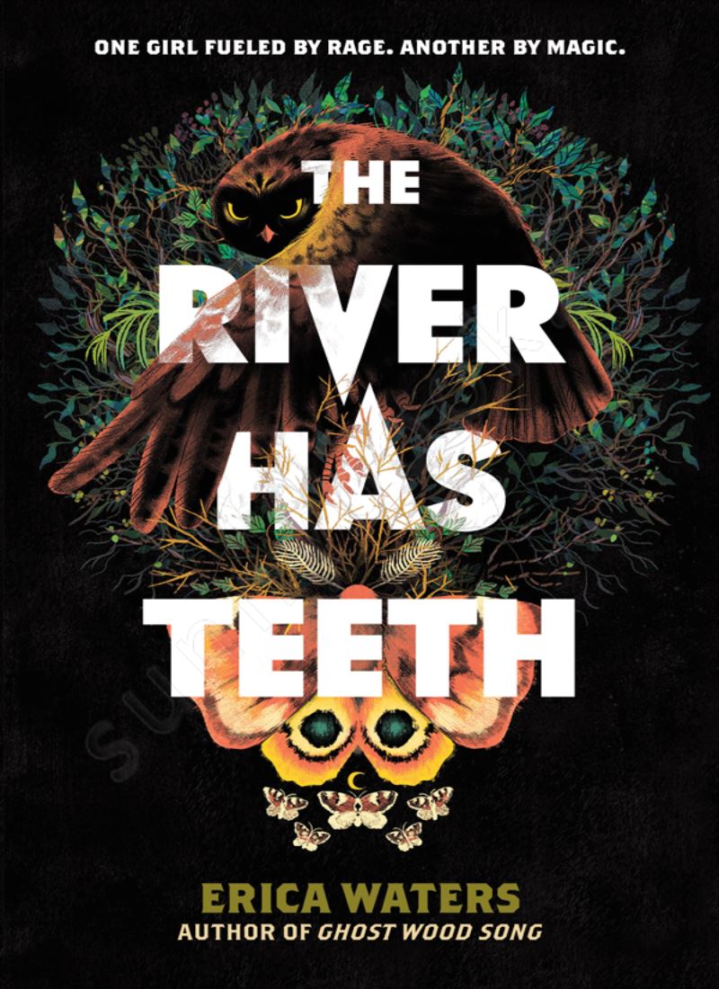The River Has Teeth main 1 1