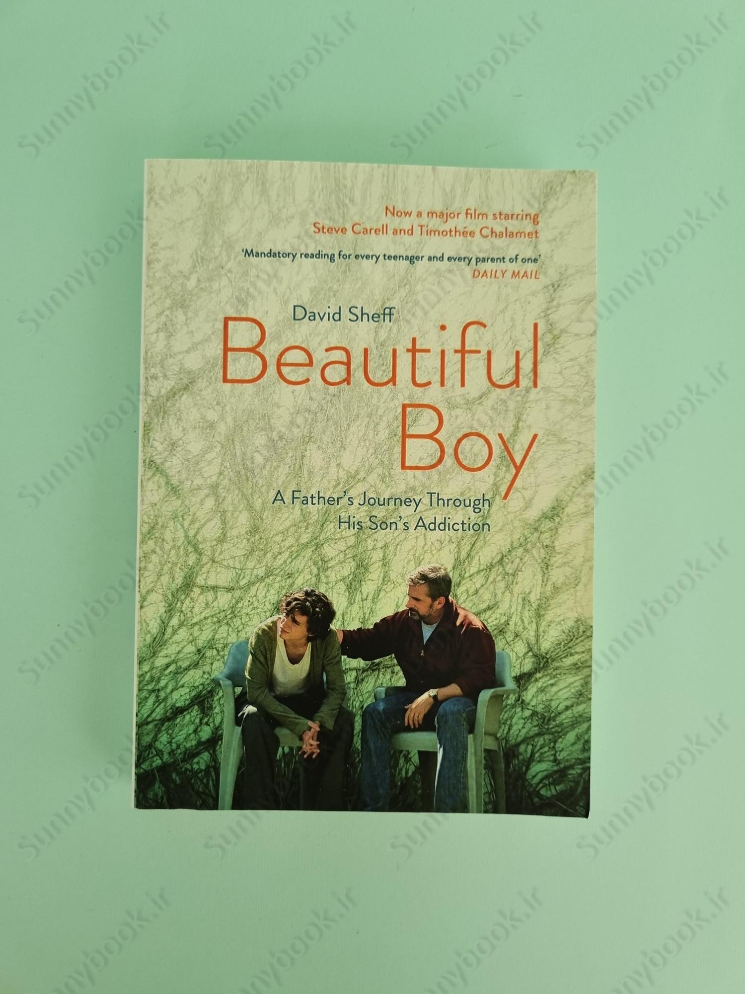 Beautiful Boy: A Father's Journey Through His Son's Addiction main 1 2