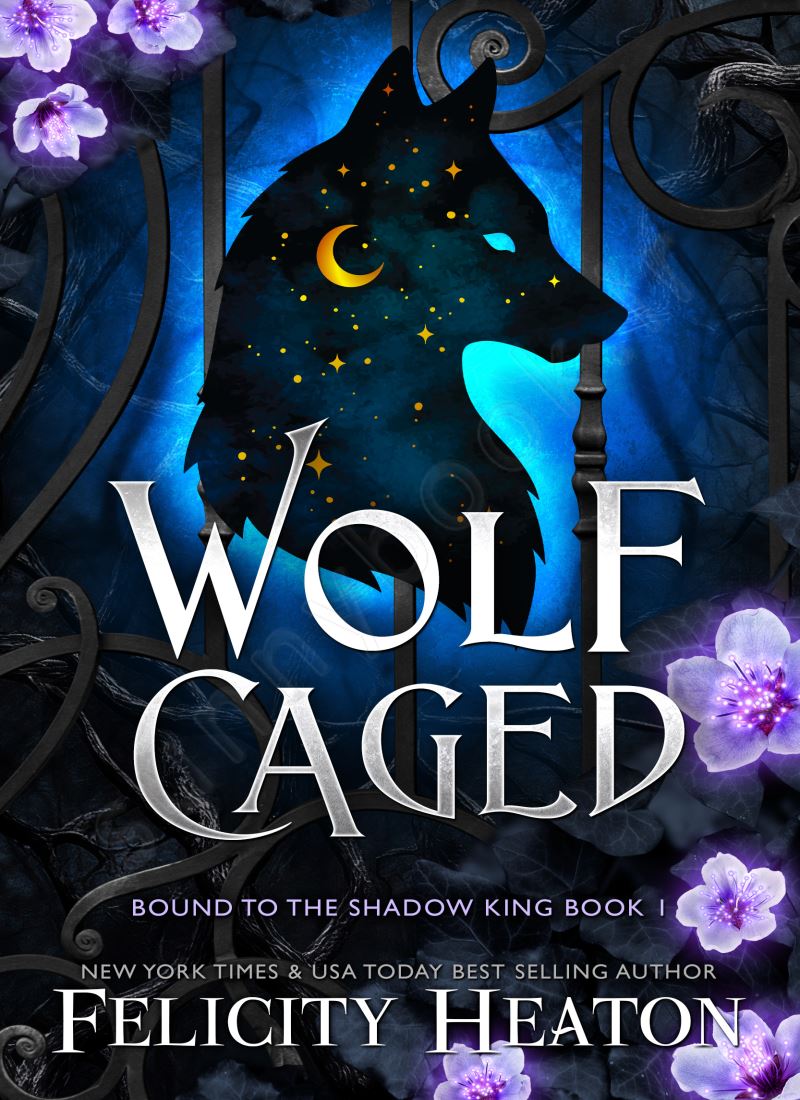Wolf Caged (Bound to the Shadow King Book 1) main 1 1