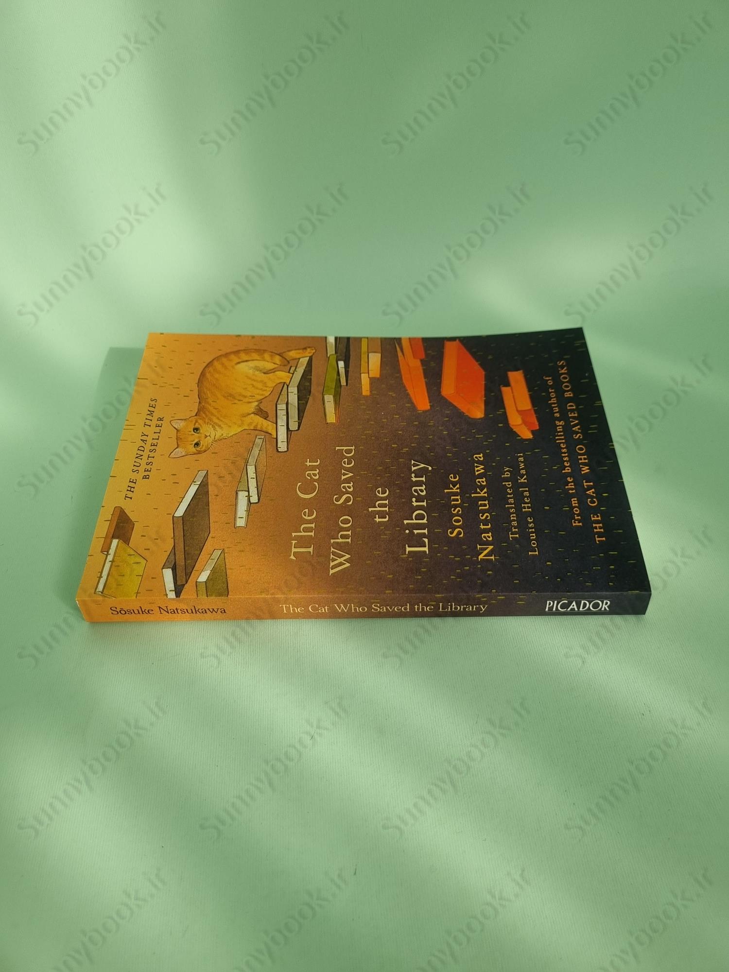 The Cat Who Saved the Library main 1 4