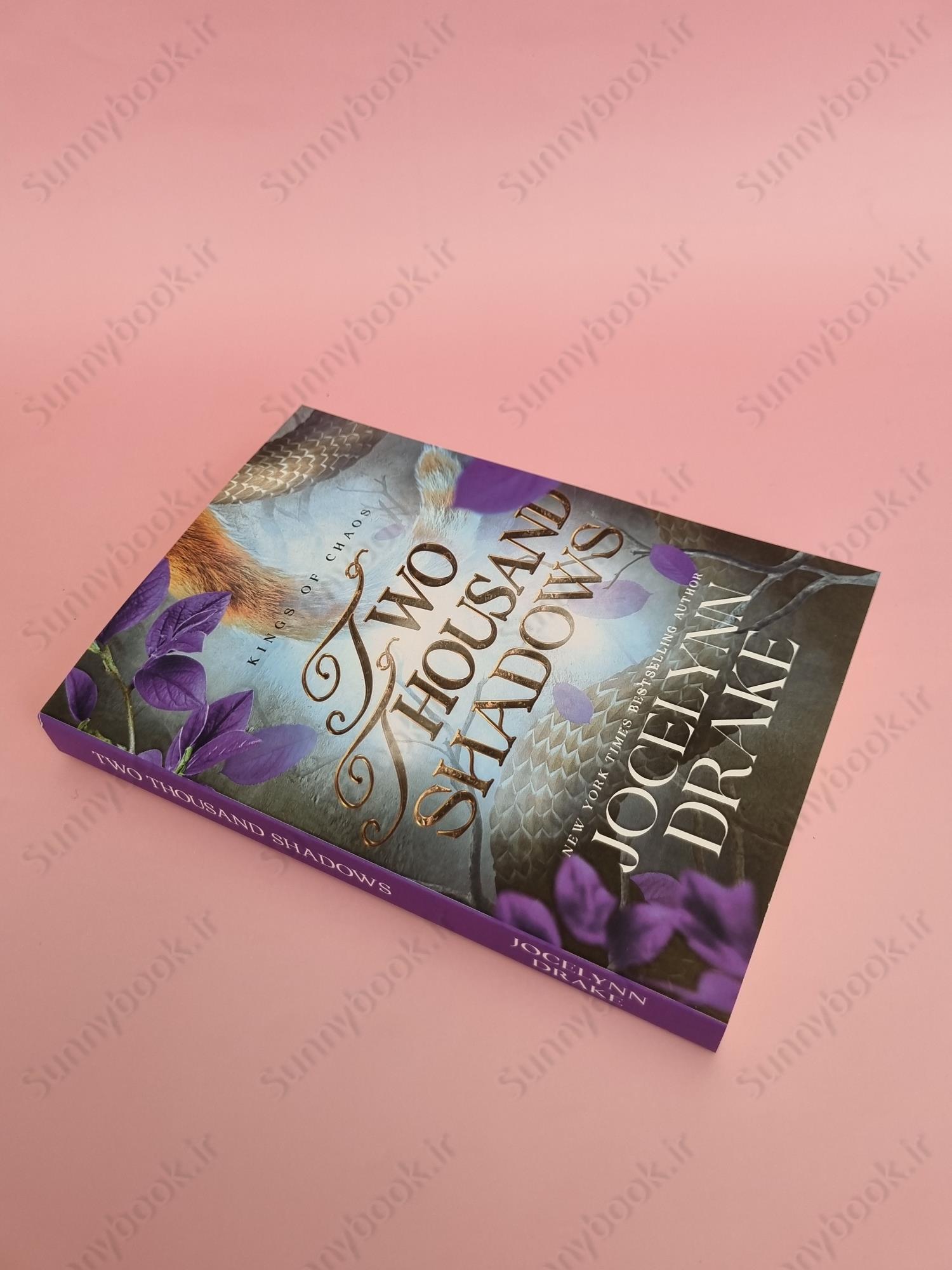 Two Thousand Shadows (Kings of Chaos 4) main 1 3