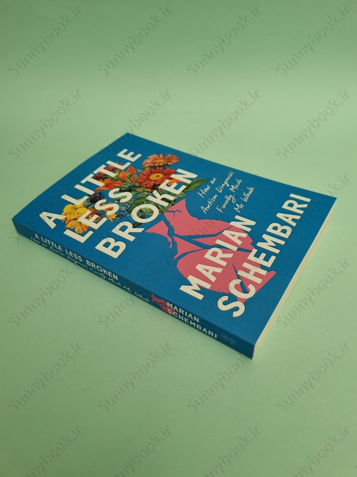 A Little Less Broken main 1 3