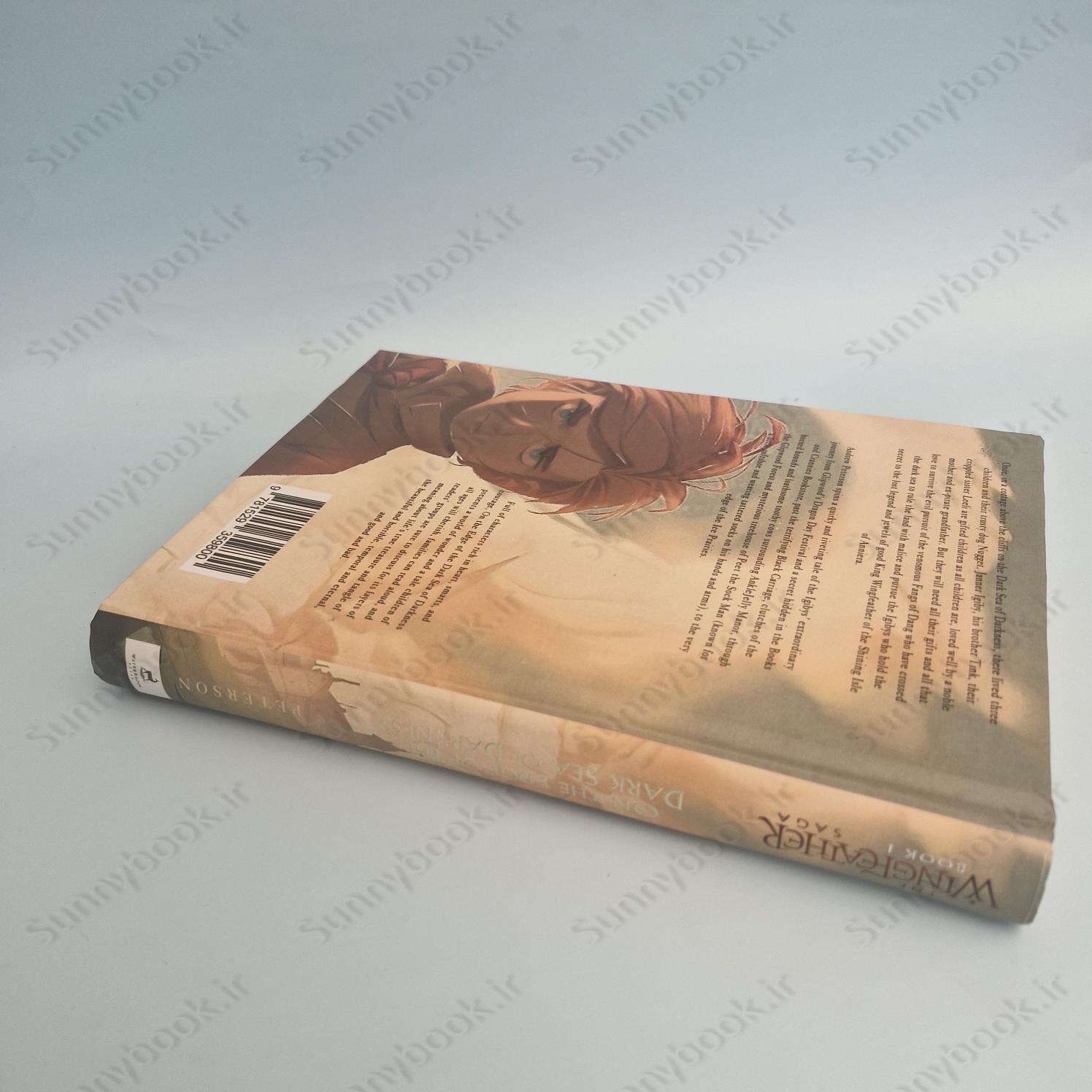 On the Edge of the Dark Sea of Darkness: (Wingfeather Series 1) main 1 6