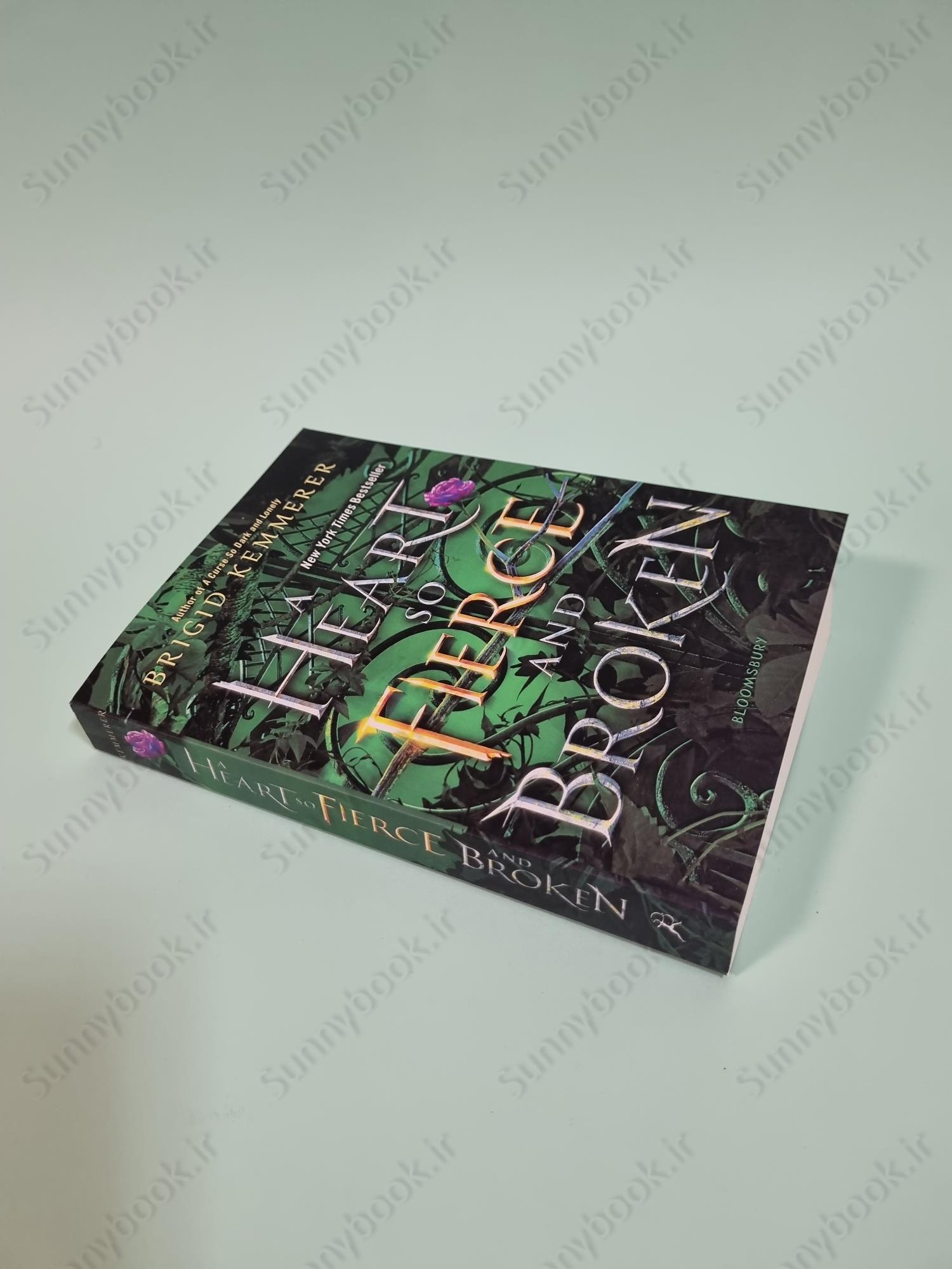 A Heart So Fierce and Broken (Cursebreakers 2) main 1 3