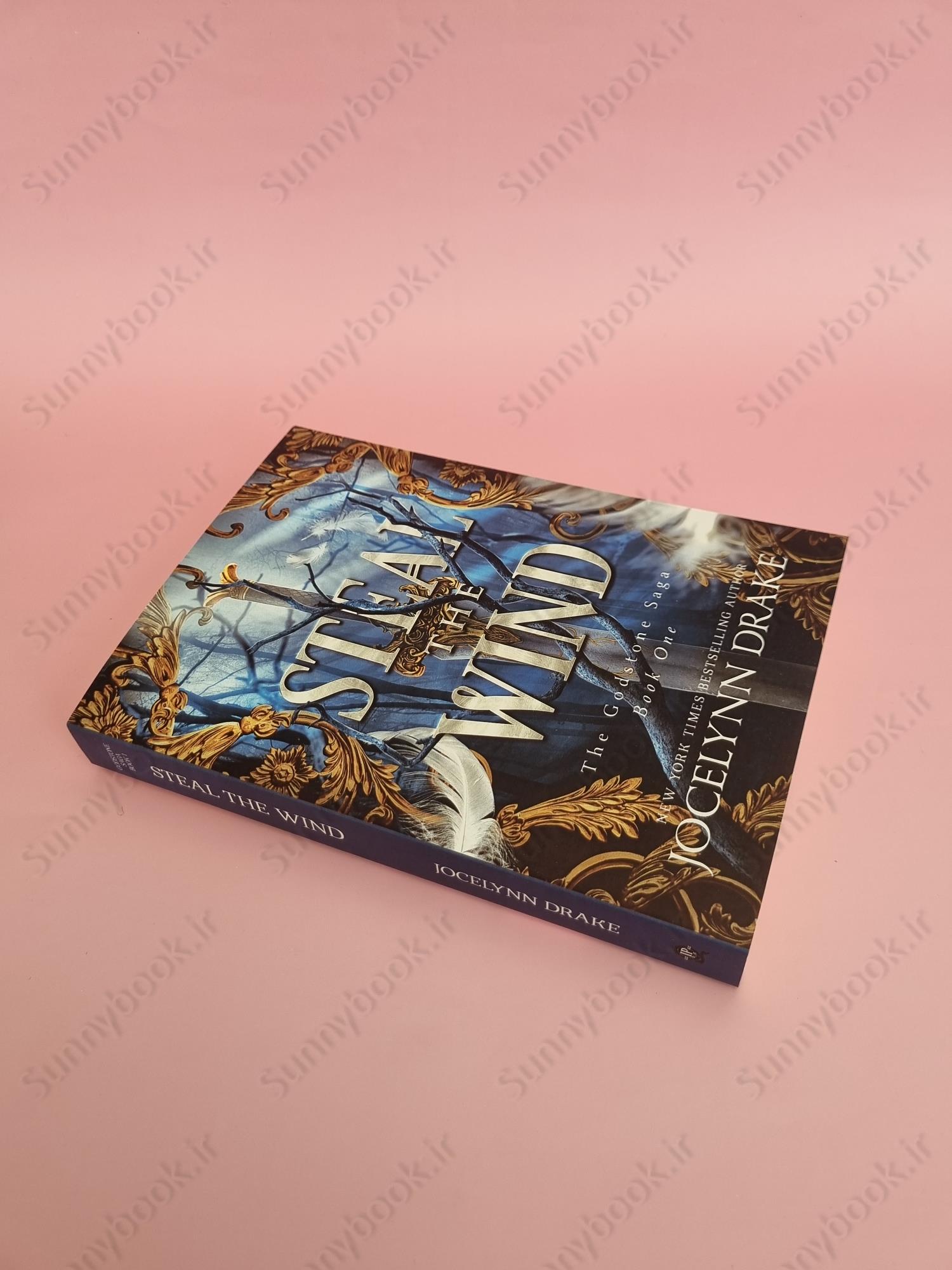 Steal the Wind (Godstone Saga 1) main 1 3