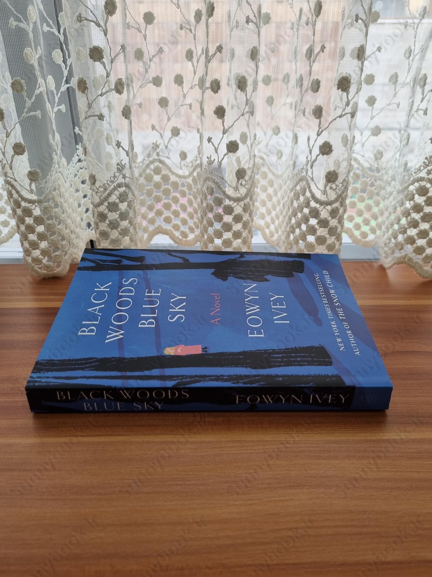 Black Woods, Blue Sky main 1 4