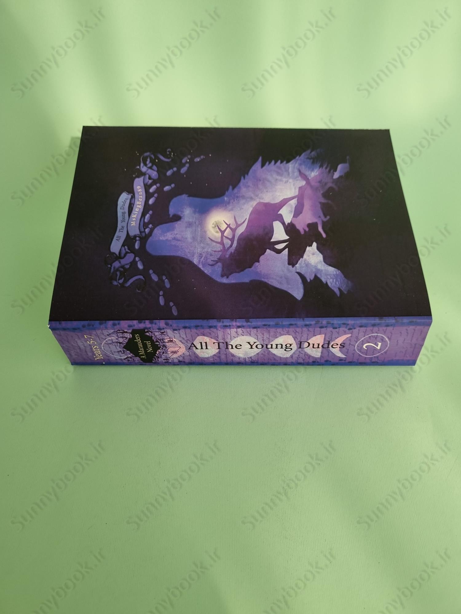 All the Young Dudes - Volume Two: Years 5 - 7 main 1 4