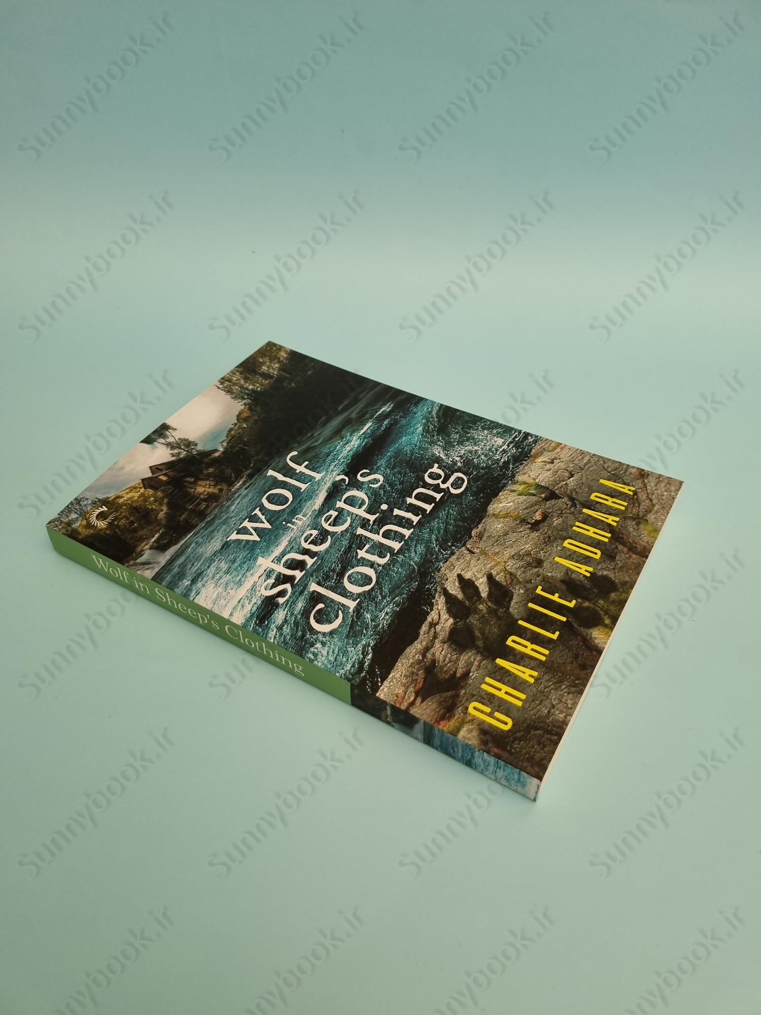 Wolf in Sheep's Clothing (Big Bad Wolf 4) main 1 3