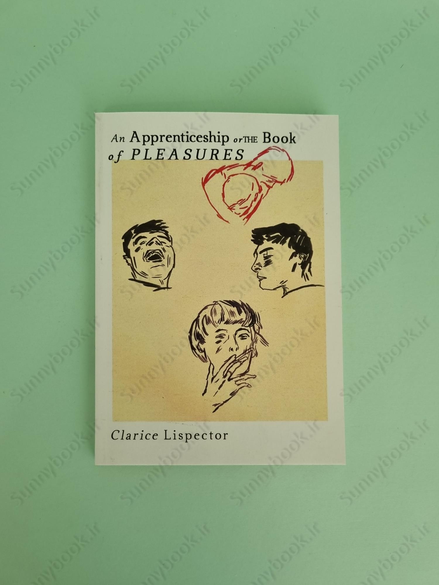 An Apprenticeship or The Book of Pleasures main 1 2