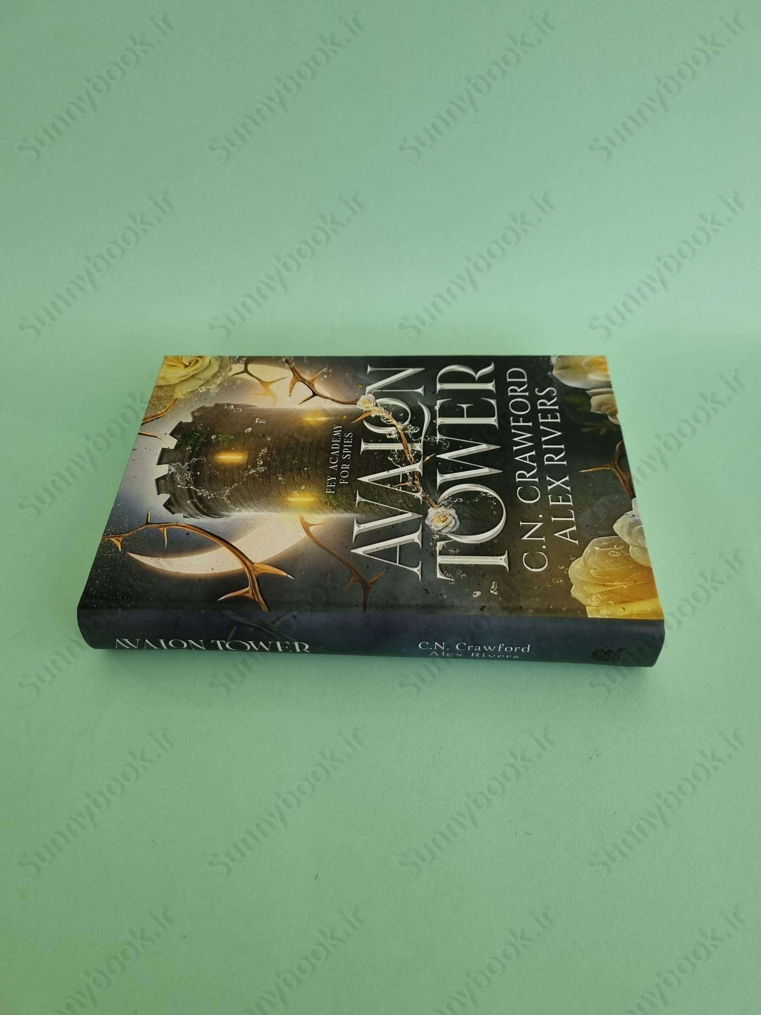 Avalon Tower (Fey Spy Academy Book 1) main 1 4