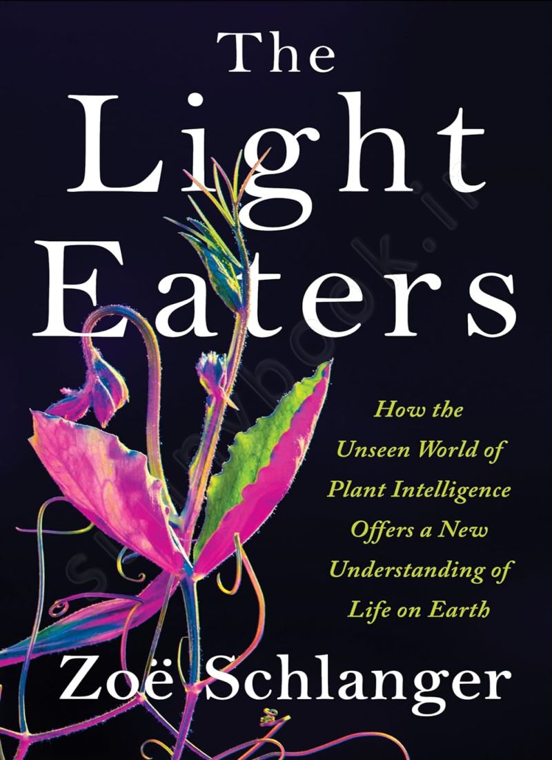 The Light Eaters main 1 1