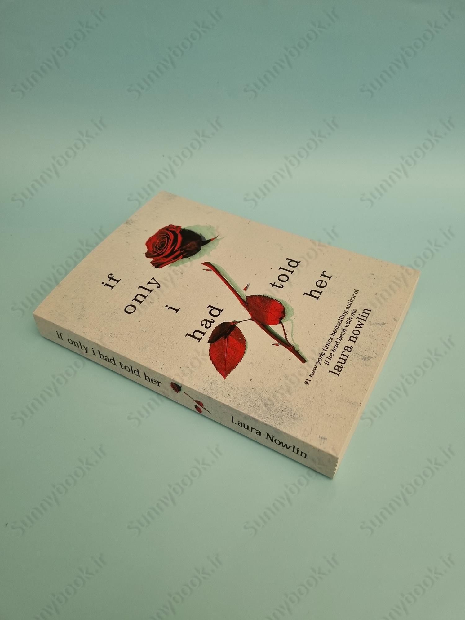 If Only I Had Told Her main 1 3