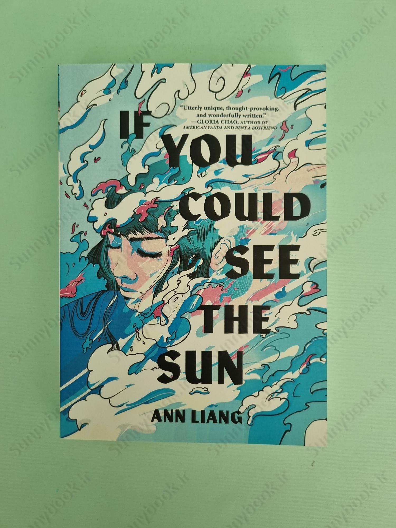 If You Could See the Sun main 1 2