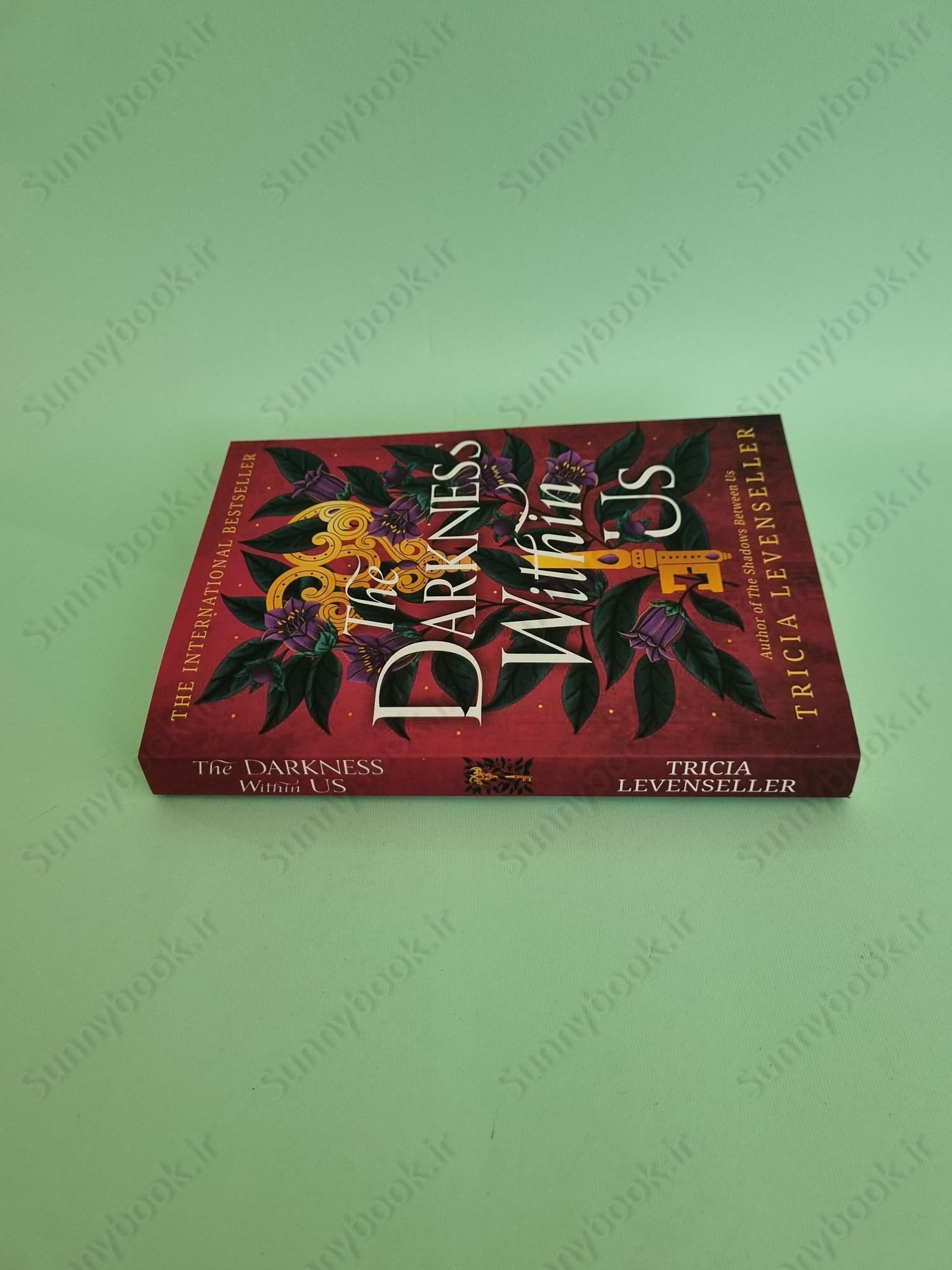 The Darkness Within Us (The Shadows Between Us Book2) main 1 4