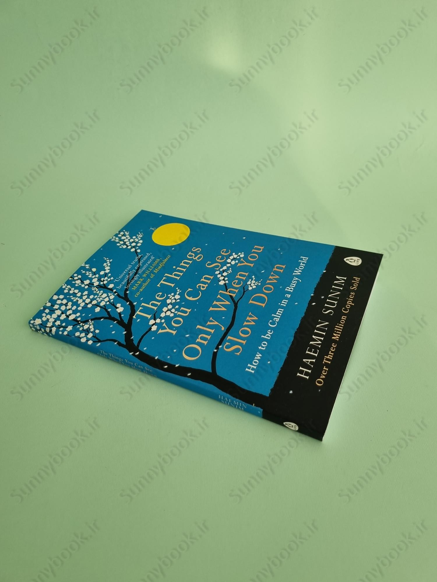 The Things You Can See Only When You Slow Down main 1 3