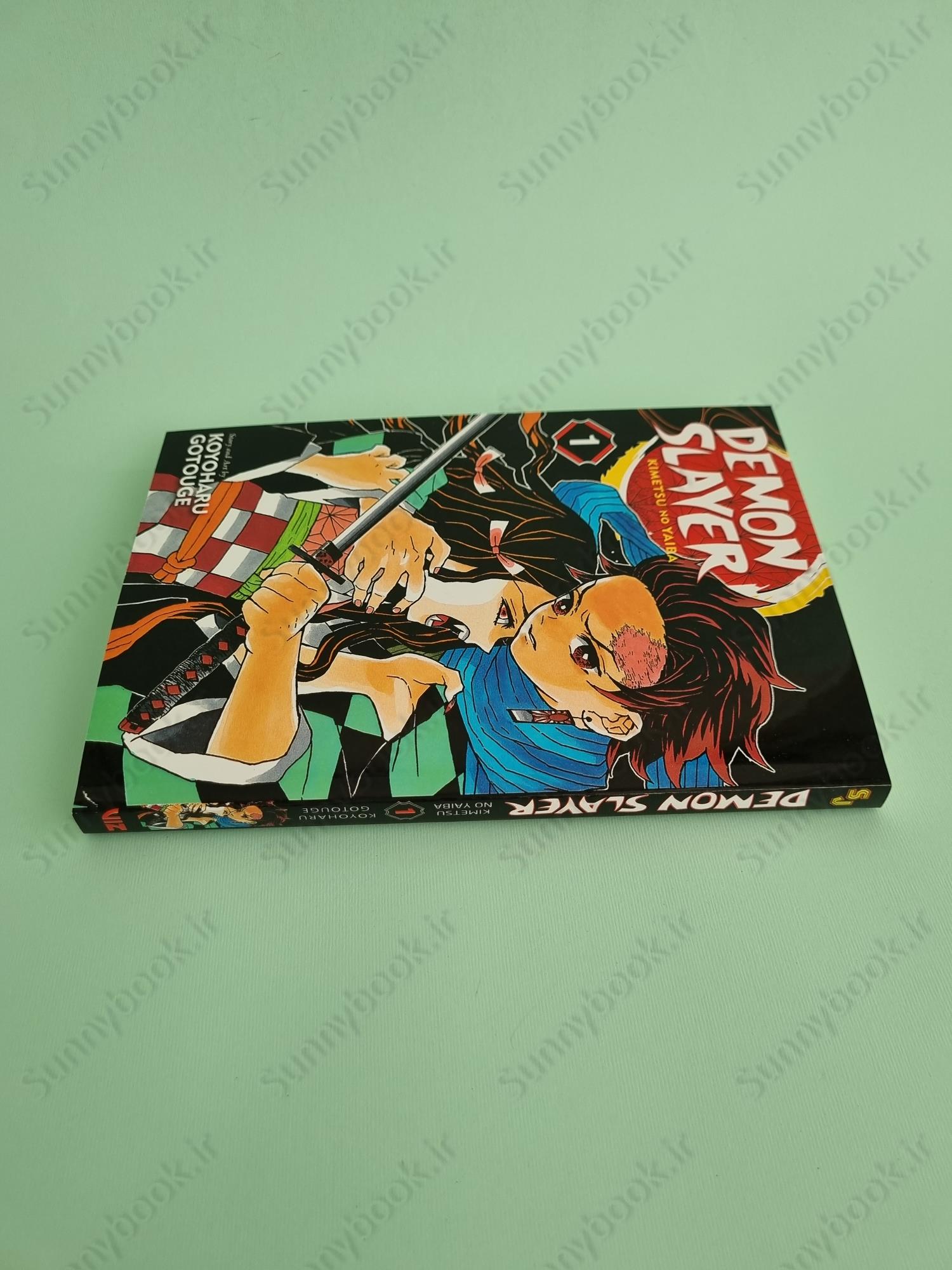 Demon Slayer: Kimetsu no Yaiba, Vol. 1 main 1 4