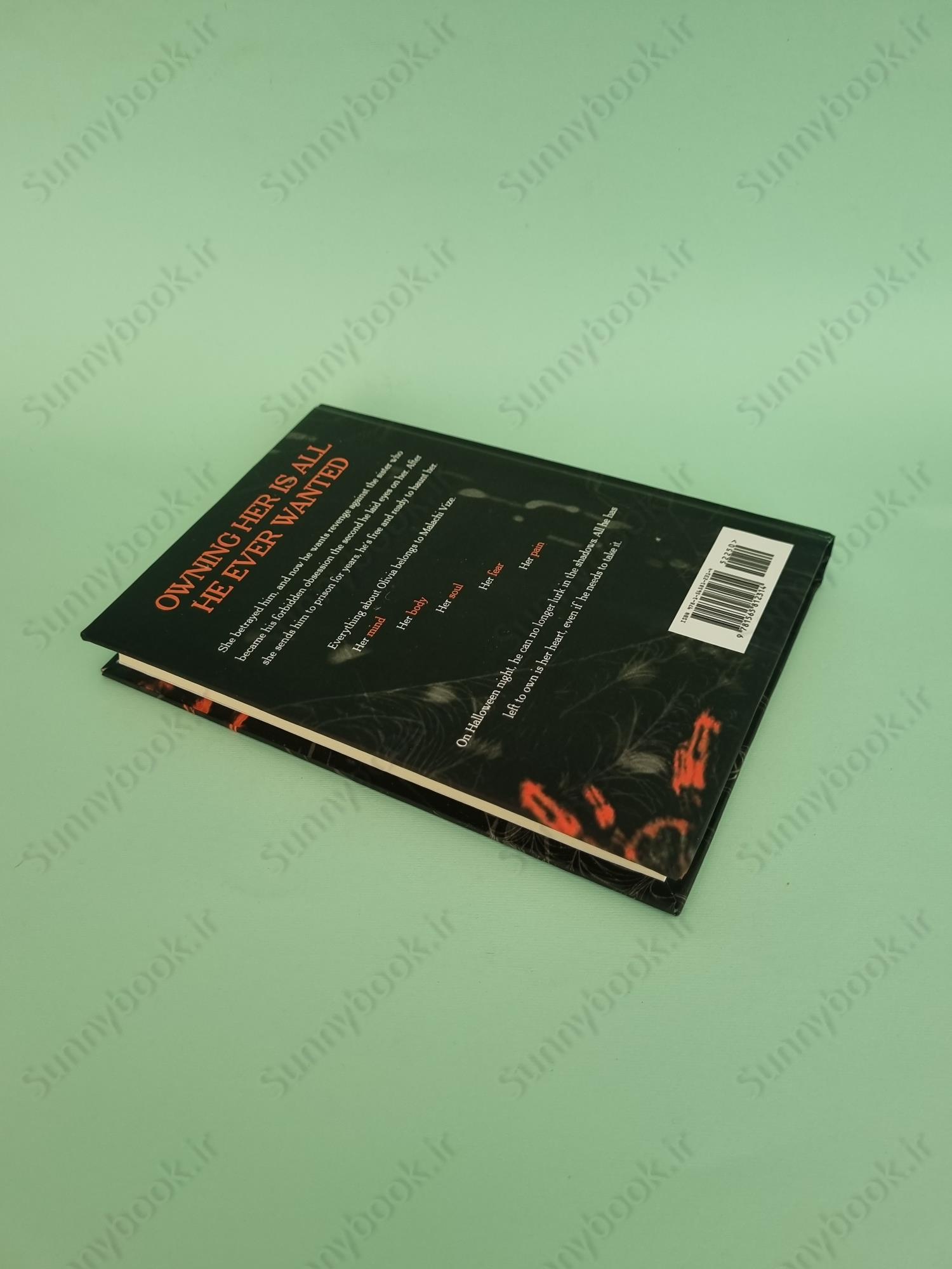 Little Stranger (The Web of Silence Duet 1) main 1 6