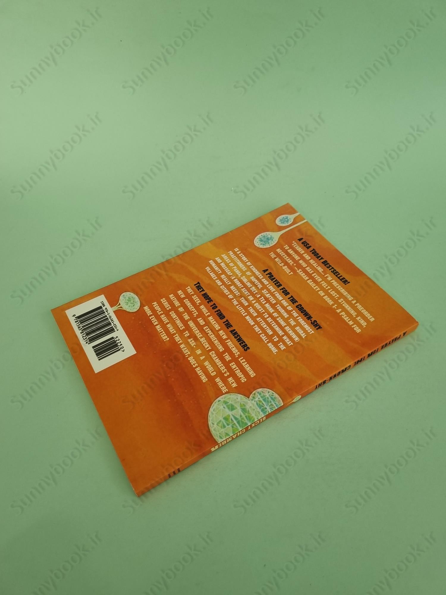 A Prayer for the Crown-Shy (Monk and Robot 2) main 1 5