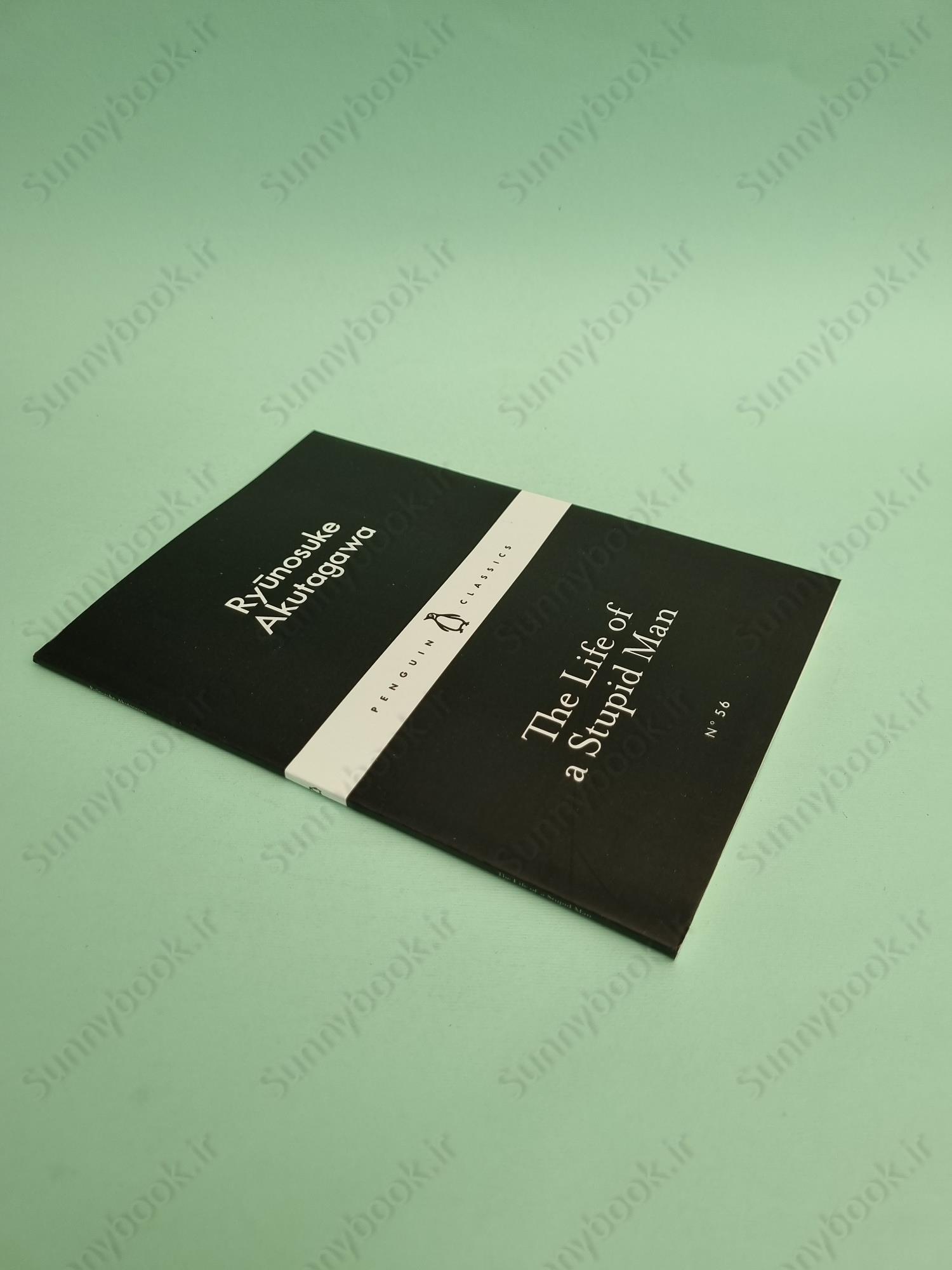 The Life of a Stupid Man main 1 3