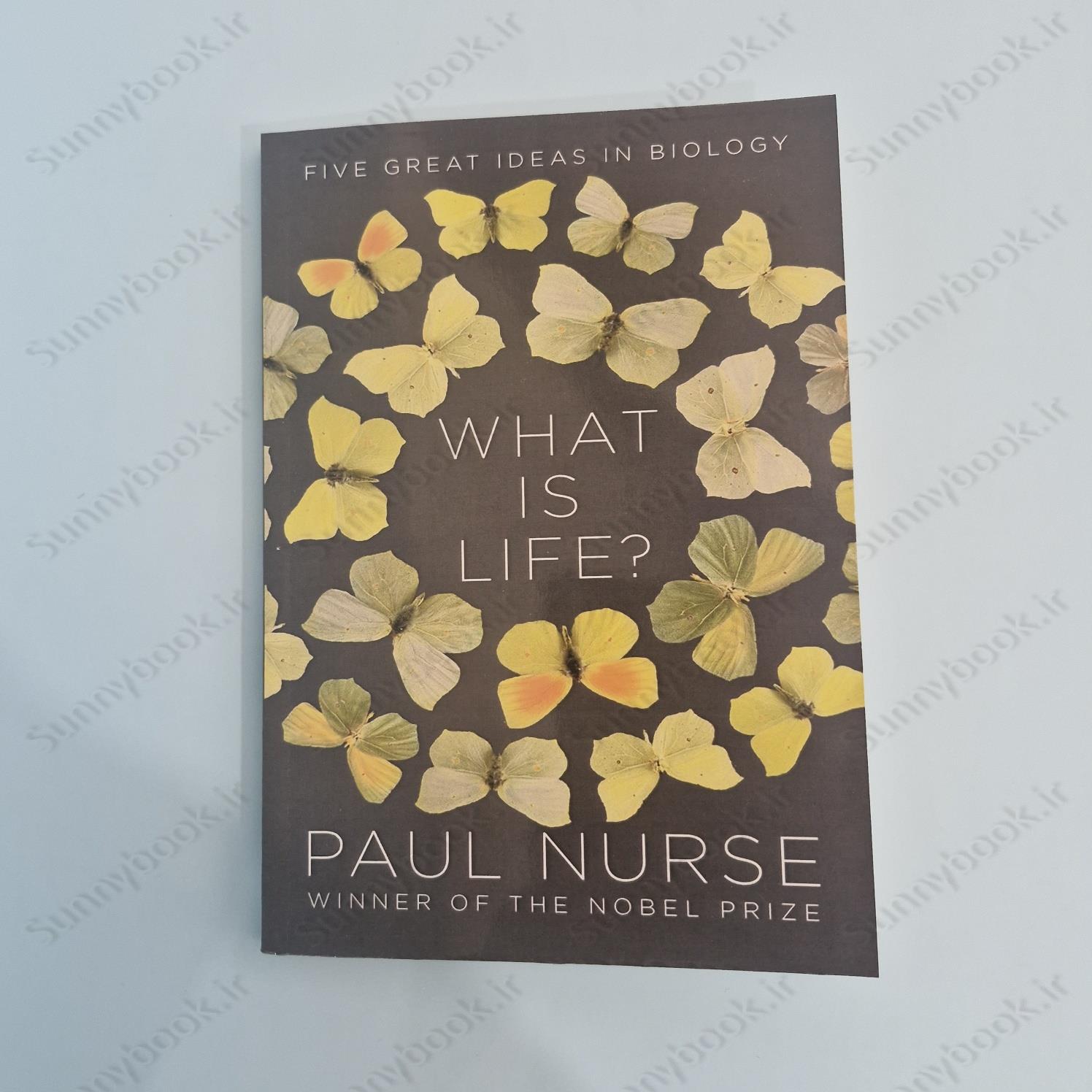 What Is Life? main 1 2