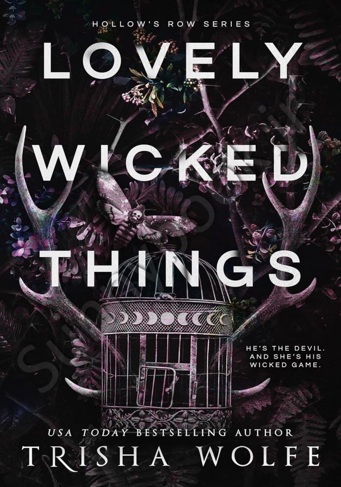 Lovely Wicked Things (Hollow's Row Book 3) Model.Title