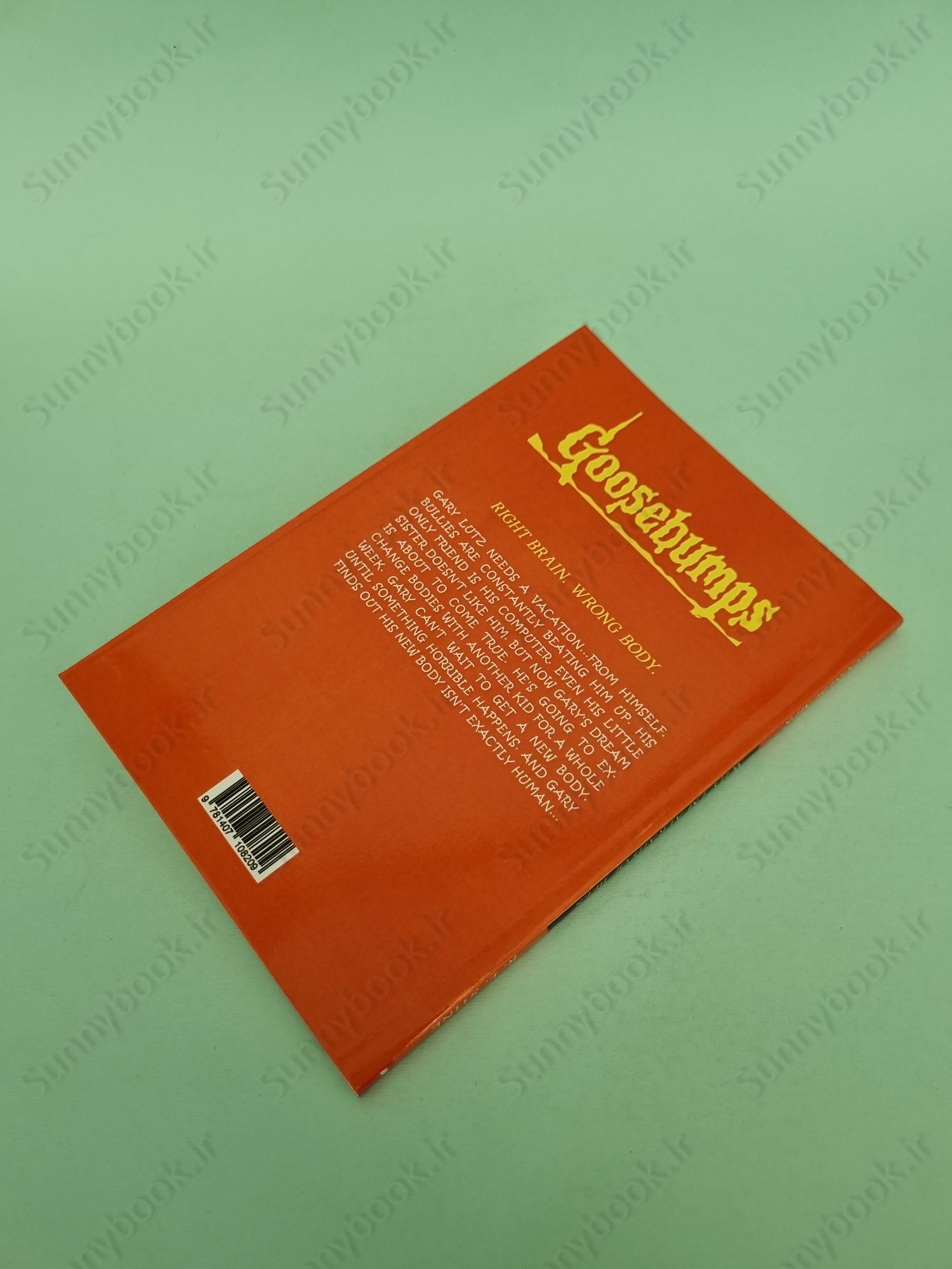 Why I'm Afraid of Bees (Goosebumps 17) main 1 4