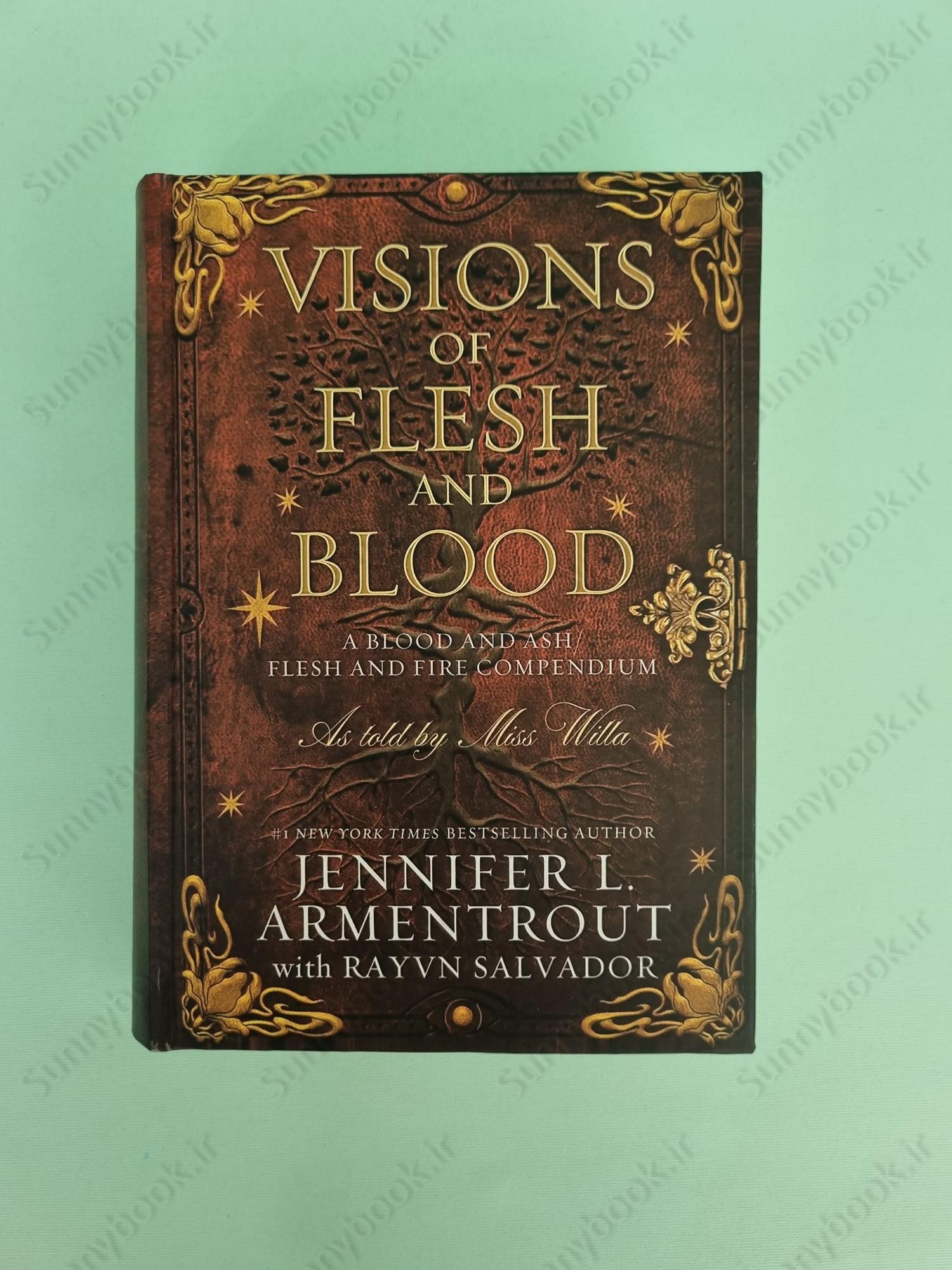 Visions of Flesh and Blood (Blood And Ash Book 5.5) main 1 2